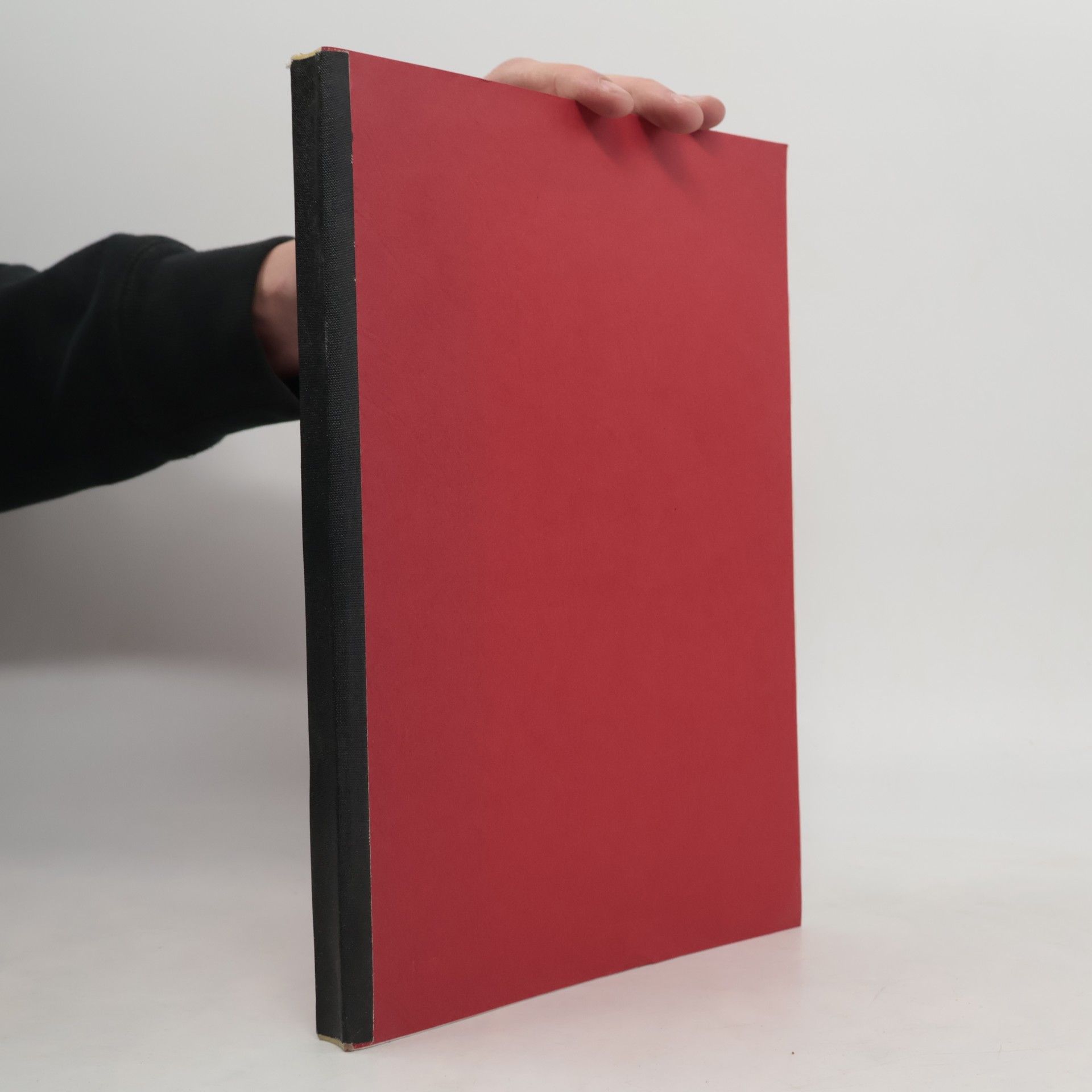 Autorenkollektiv Der Vampir im Film Seine Tradition und seine Erscheinungsformen im Kino von 1979-1989