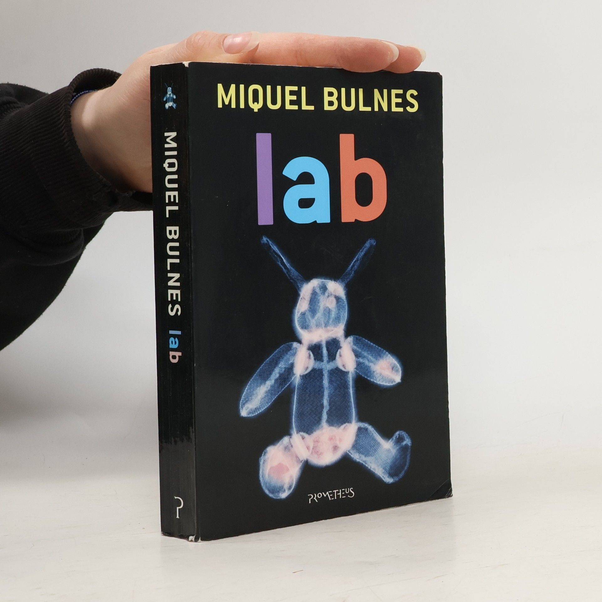 Miquel Bulnes Lab