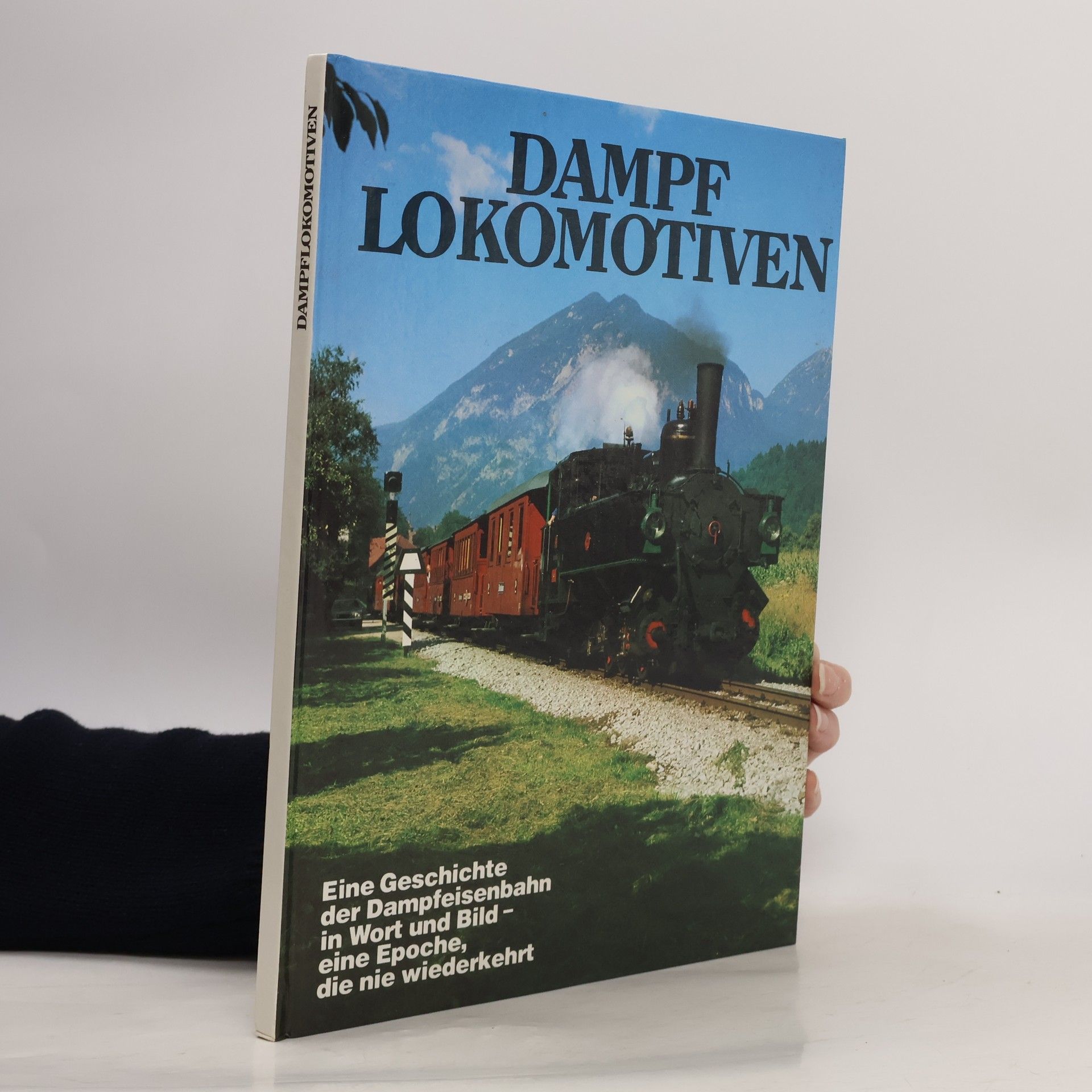 Rolf L. Temming Dampf Lokomotiven