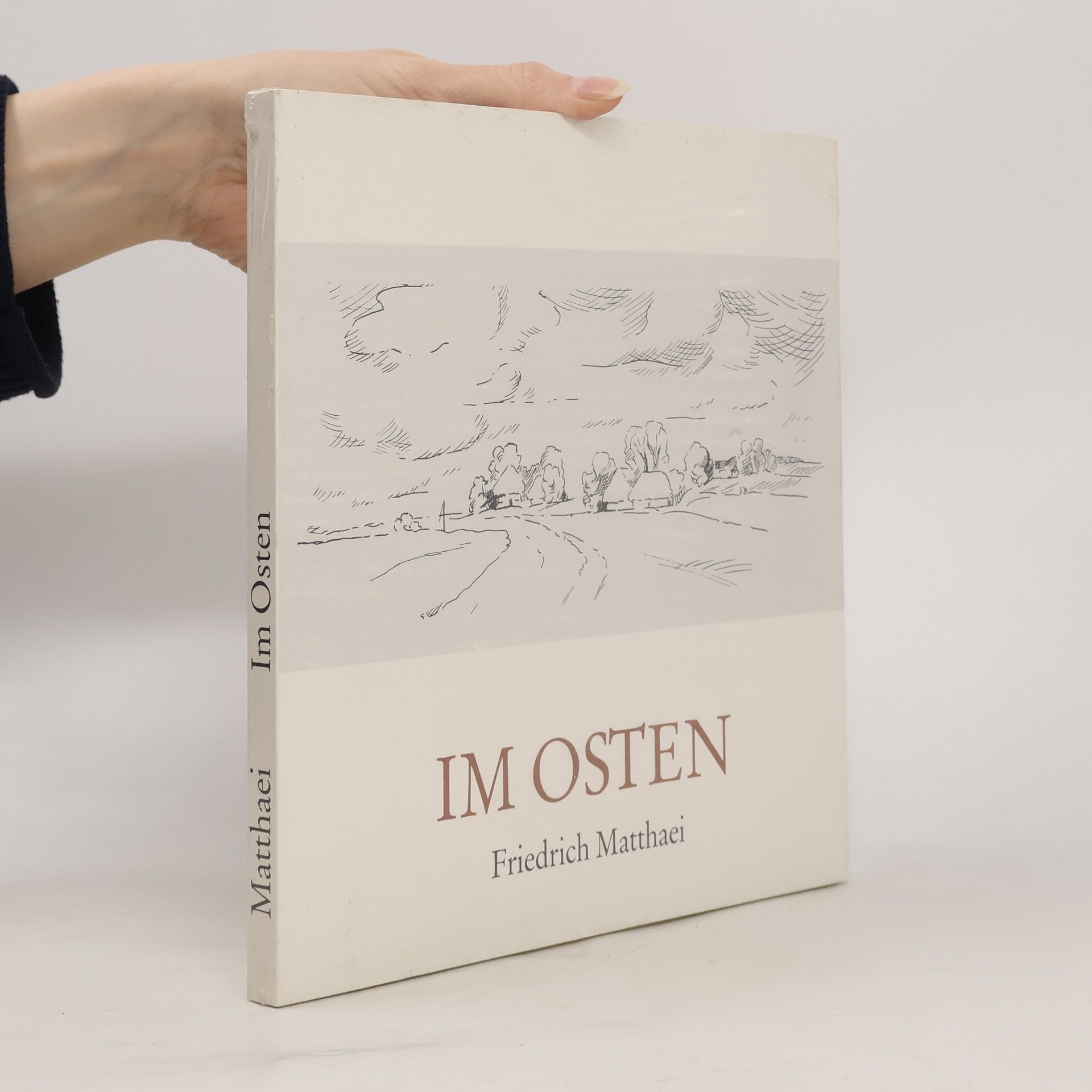 Friedrich Matthaei Im Osten