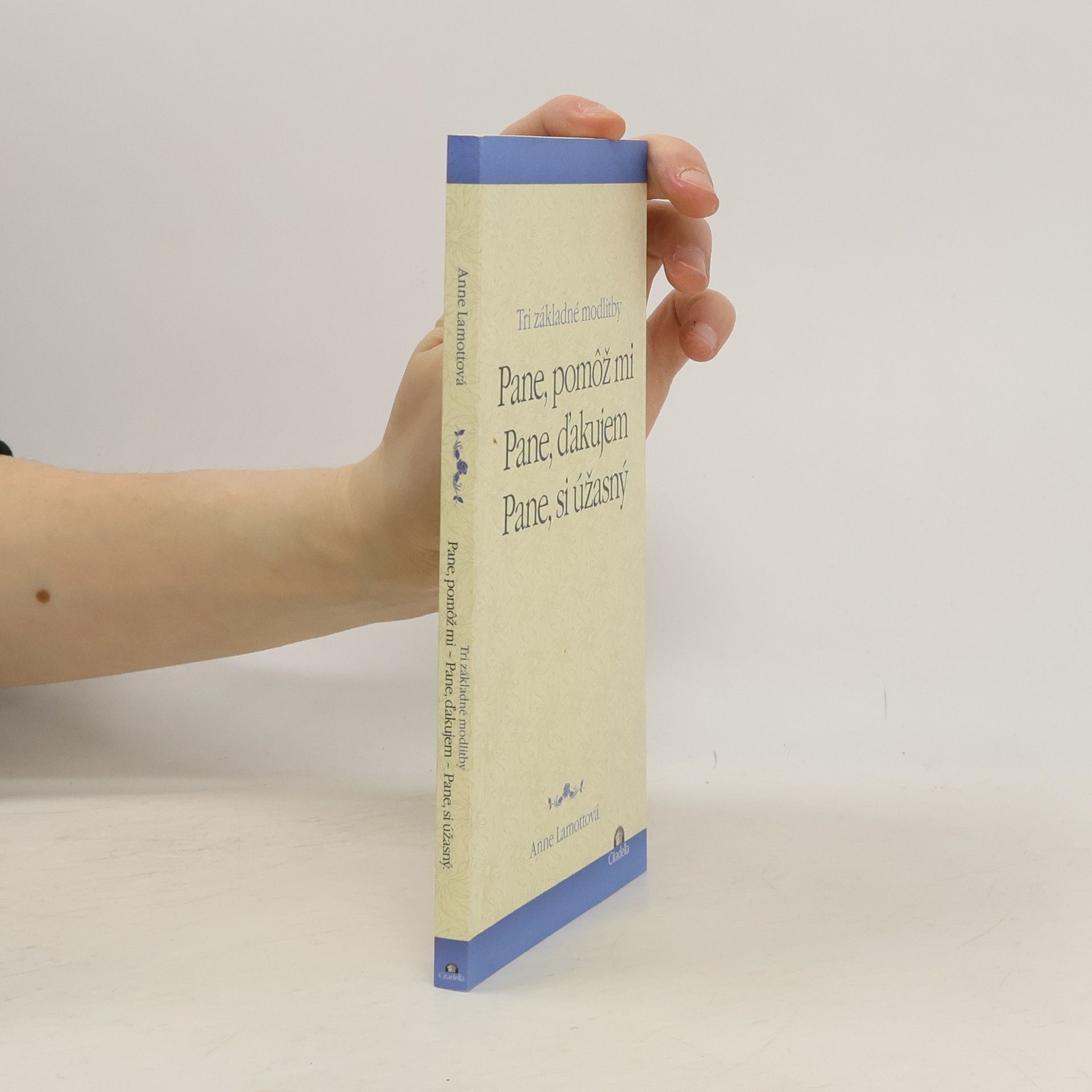 Pane, pomôž mi. Pane, ďakujem. Pane, si úžasný.