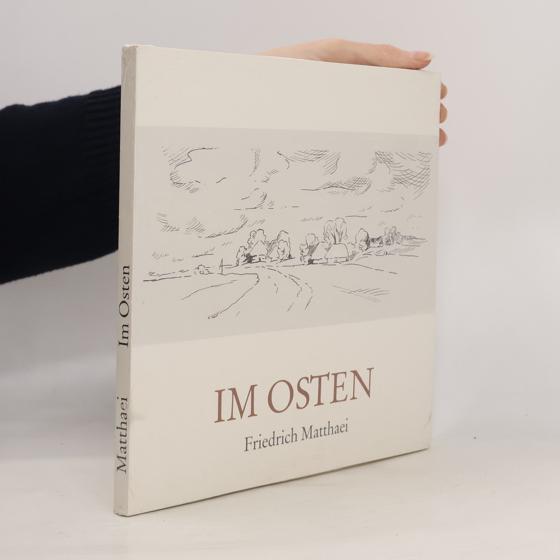 Friedrich Matthaei Im Osten
