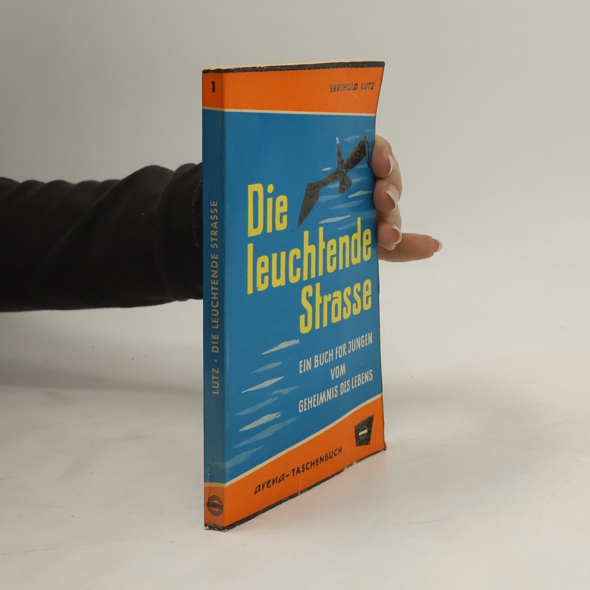 Die leuchtende Strasse