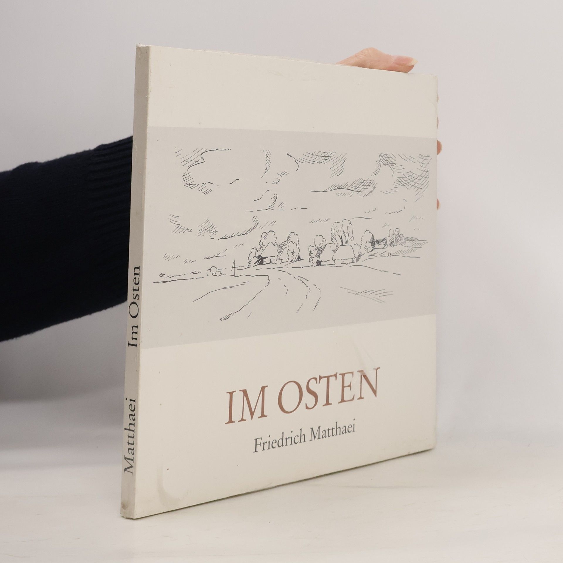 Friedrich Matthaei Im Osten