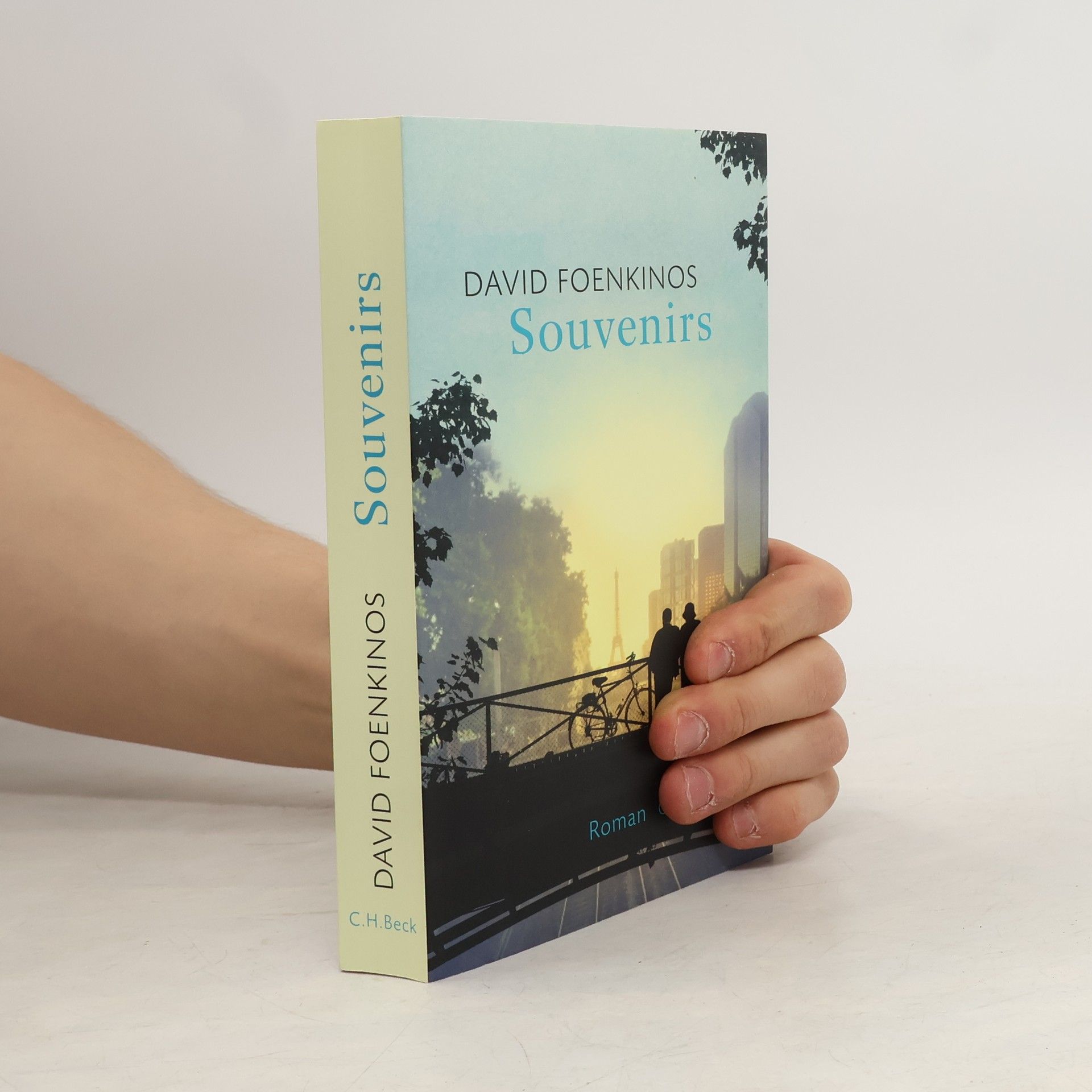 David Foenkinos Souvenirs