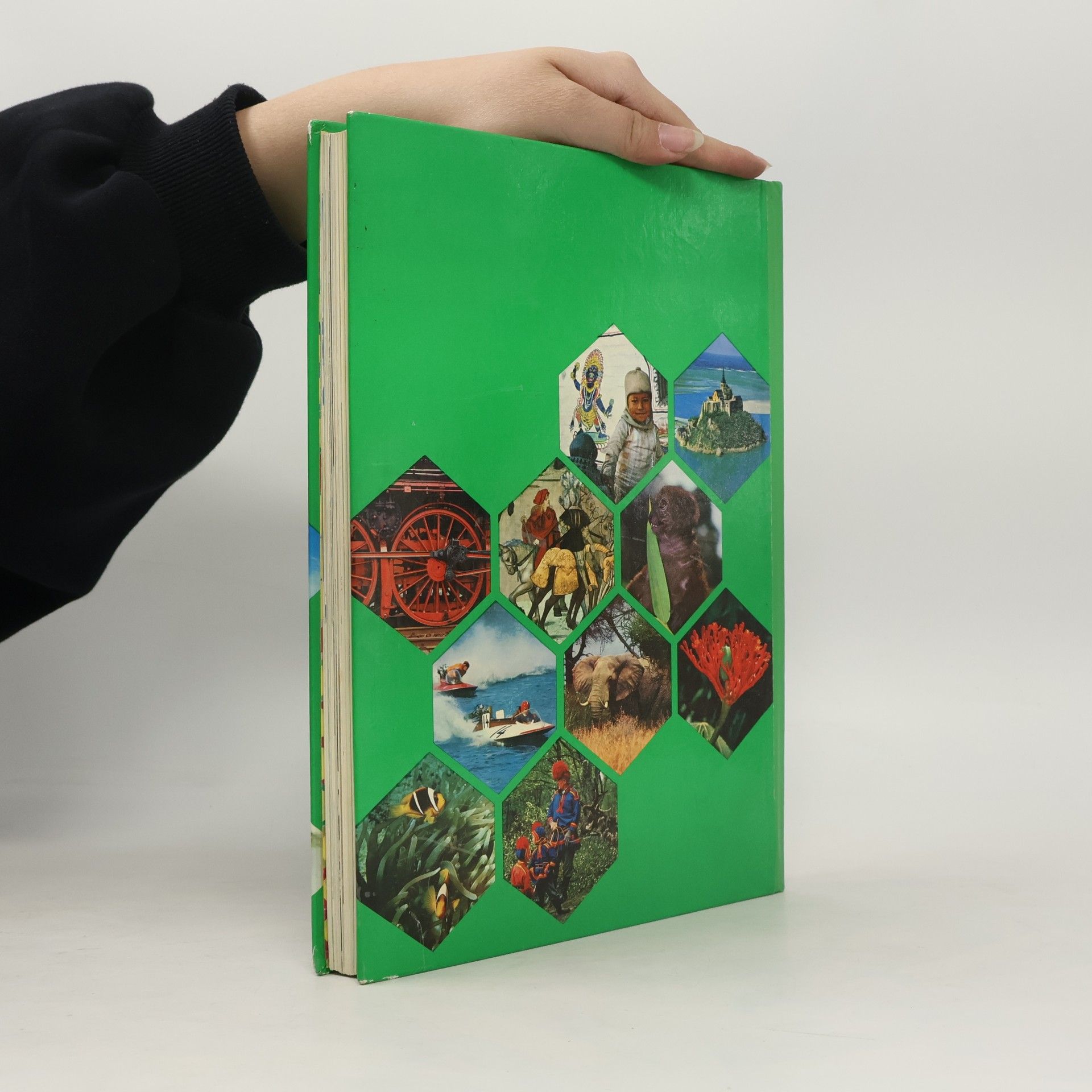 Kolektiv autorů Das Grosse Reader's Digest Jugendbuch 10