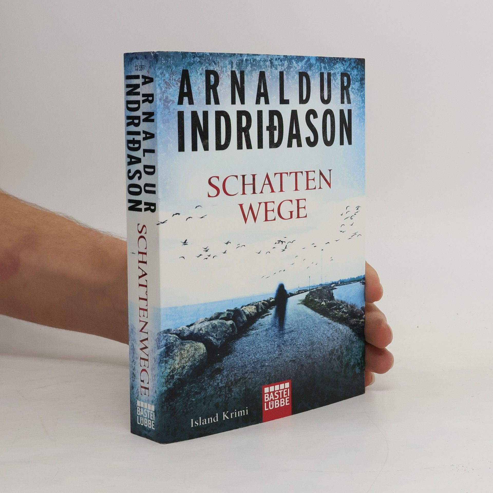 Arnaldur Indriðason Schattenwege