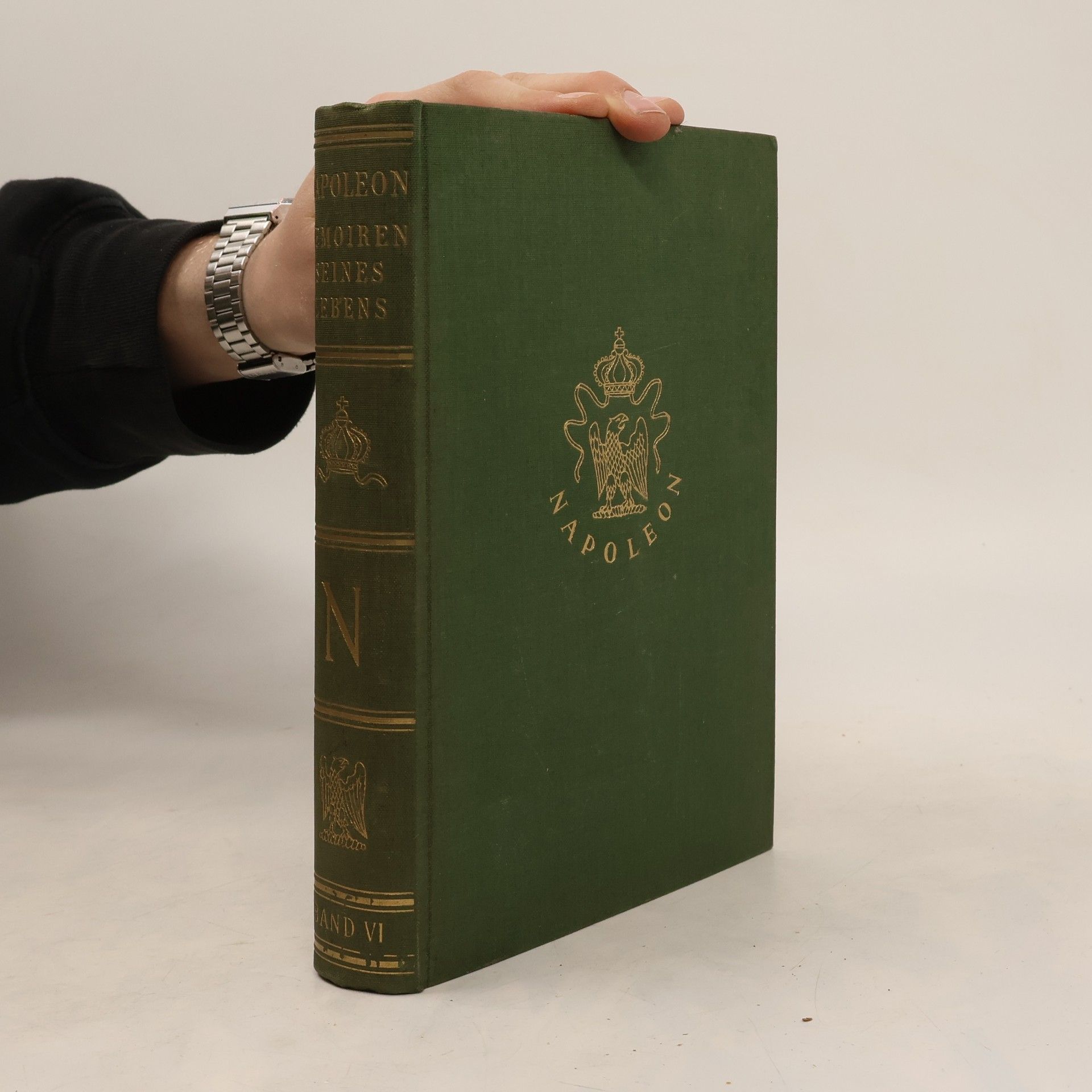 Friedrich Wencker-Wildberg Napoleon. Die Memoiren seines Lebens. Band VI