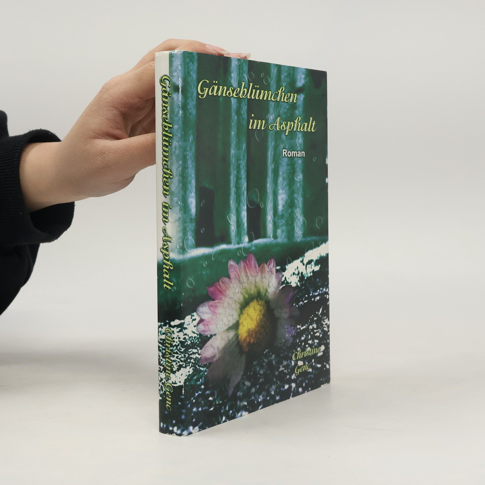 Gänseblümchen im Asphalt