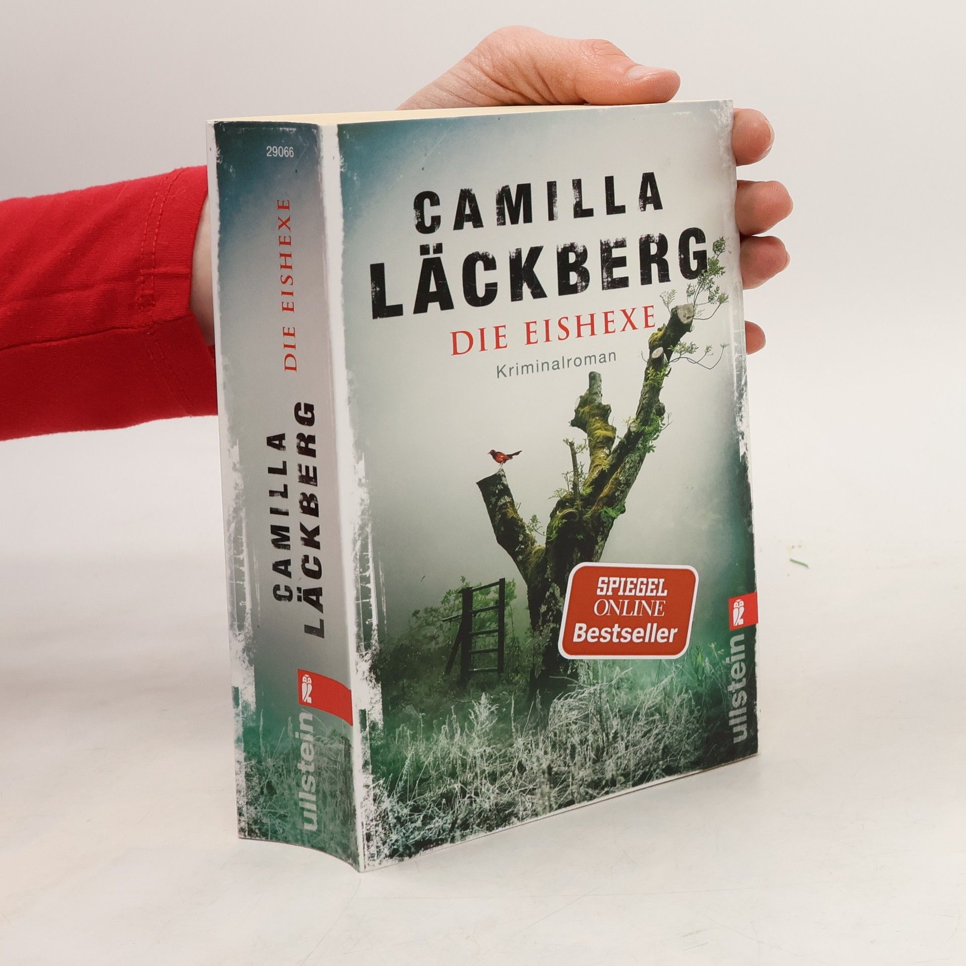 Camilla Läckberg Die Eishexe