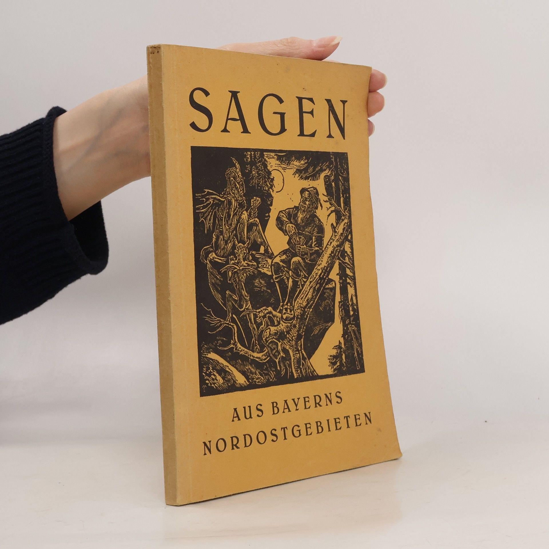 Andreas Reichold Sagen aus Bayerns Nordostgebieten