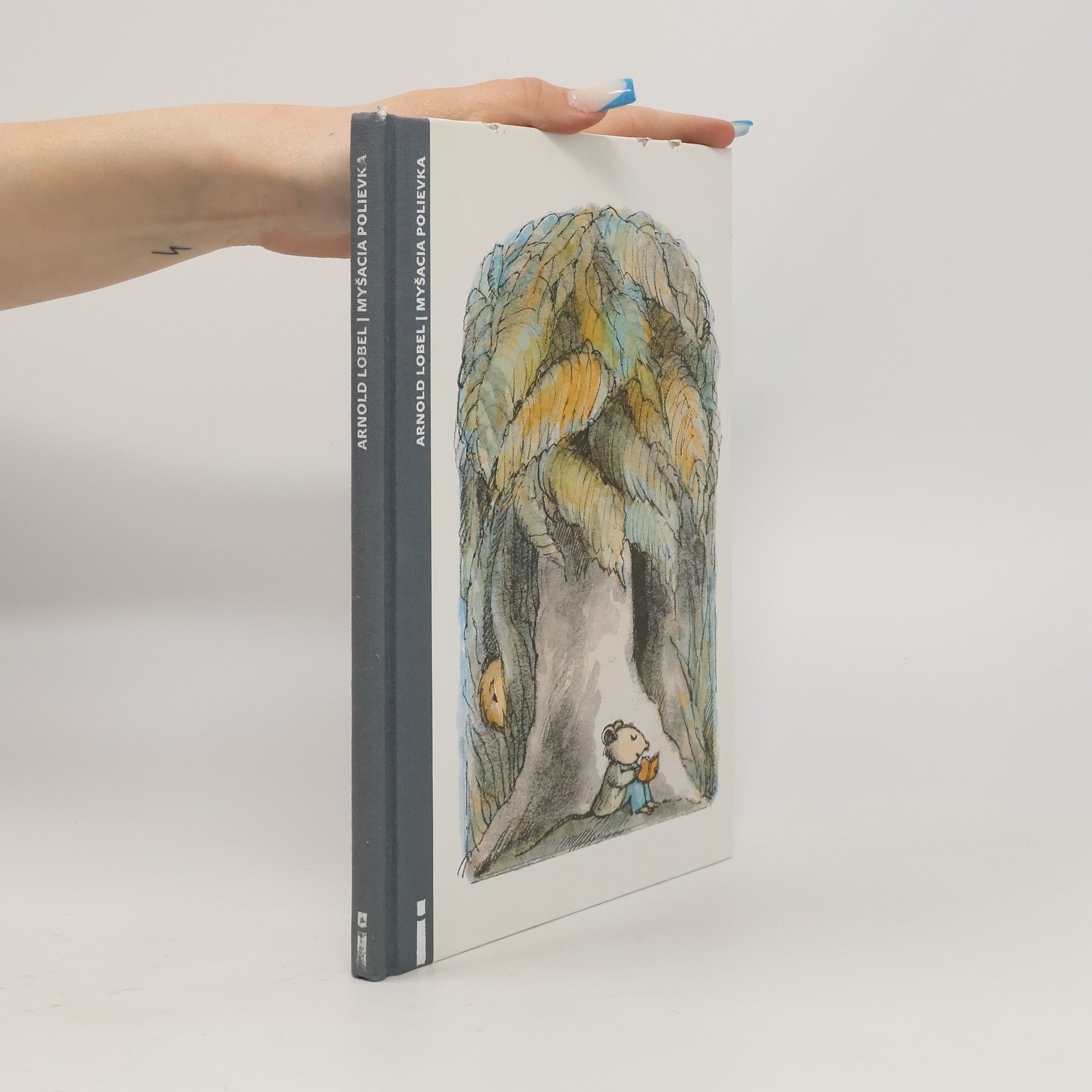 Arnold Lobel Myšacia polievka