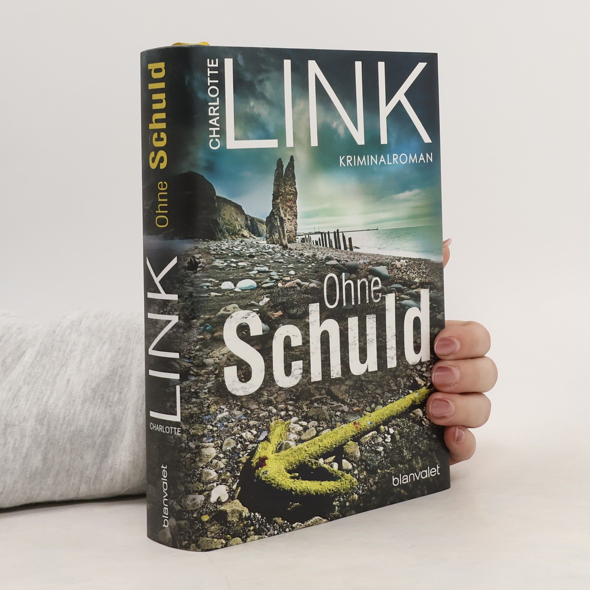 Charlotte Link Ohne Schuld