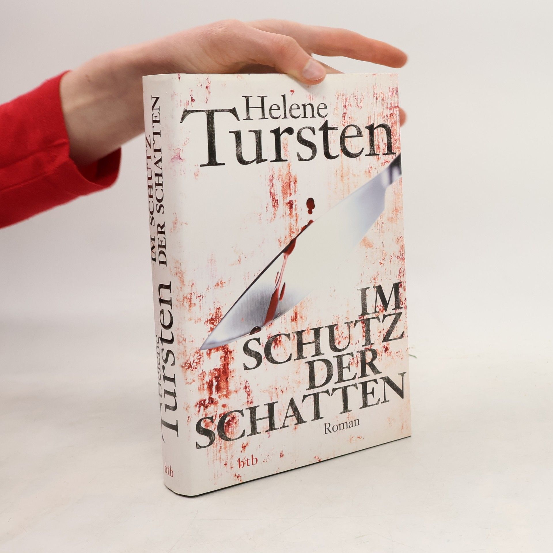 Helene Tursten Im Schutz der Schatten
