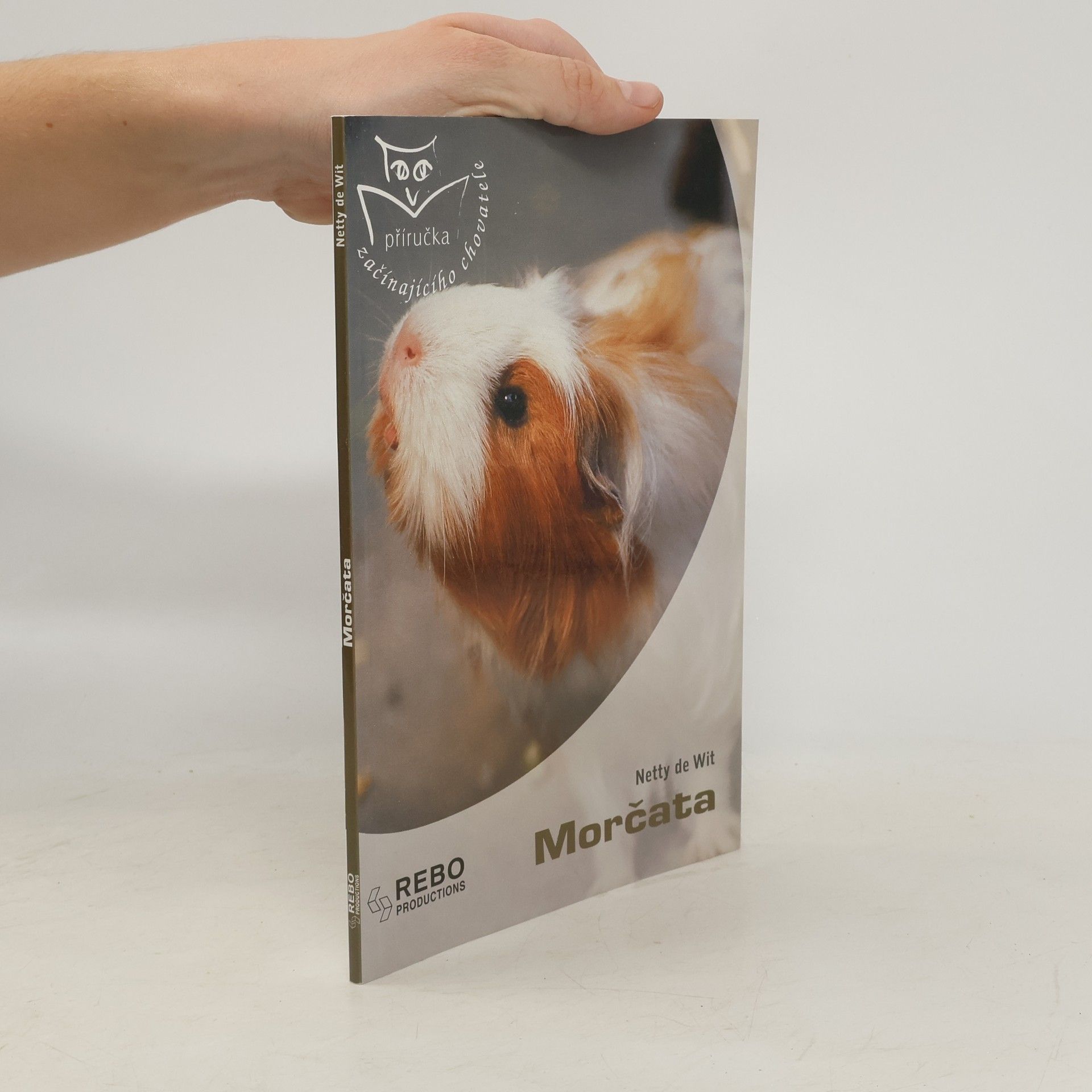 Netty de Wit Morčata