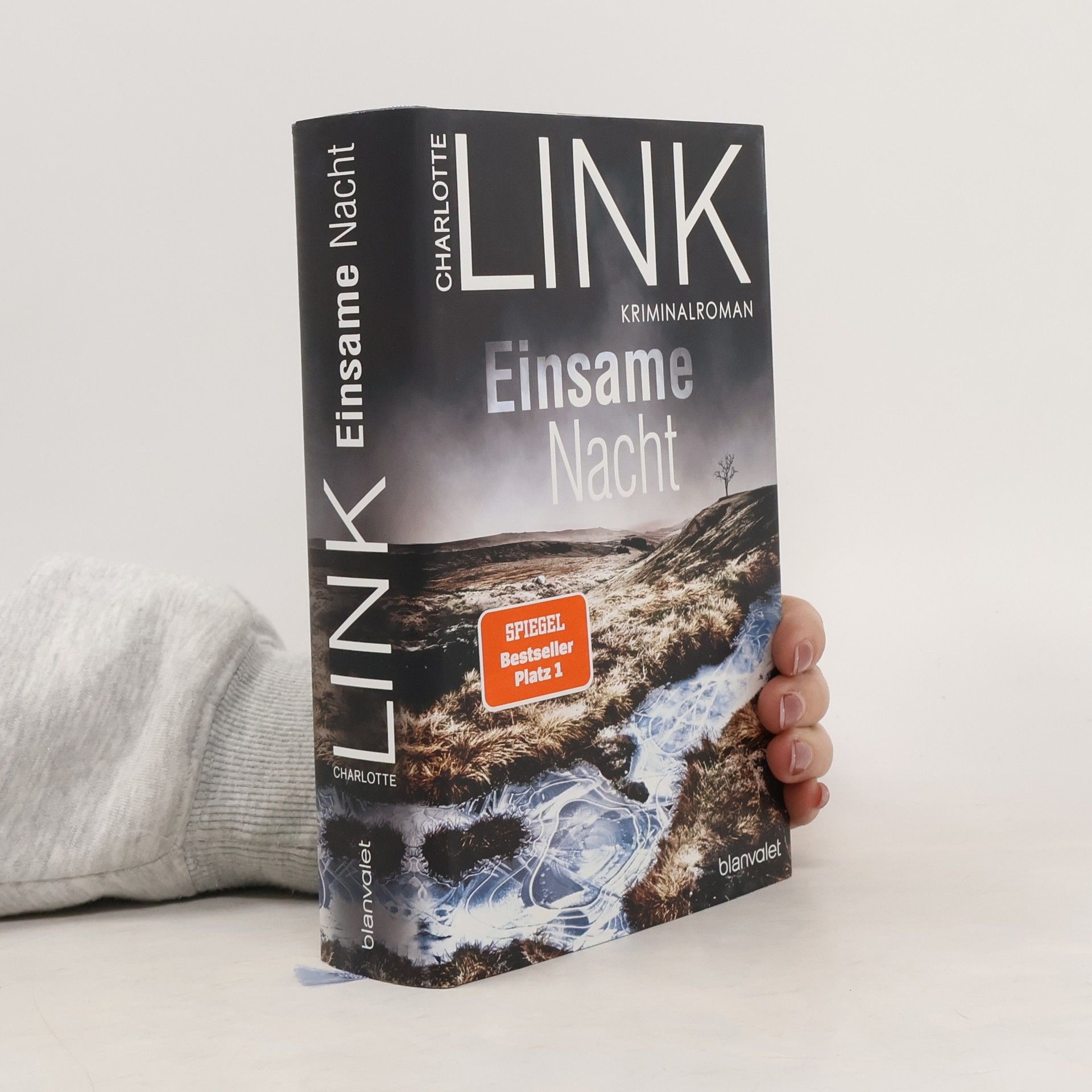 Charlotte Link Einsame Nacht