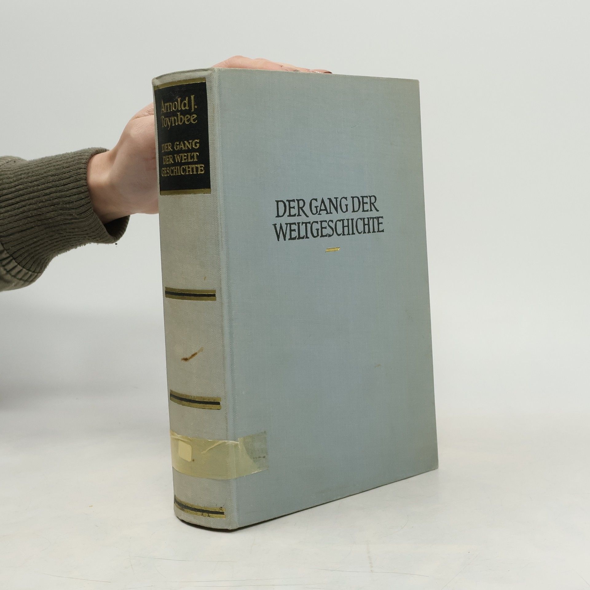 Arnold J. Toynbee Der Gang der Weltgeschichte