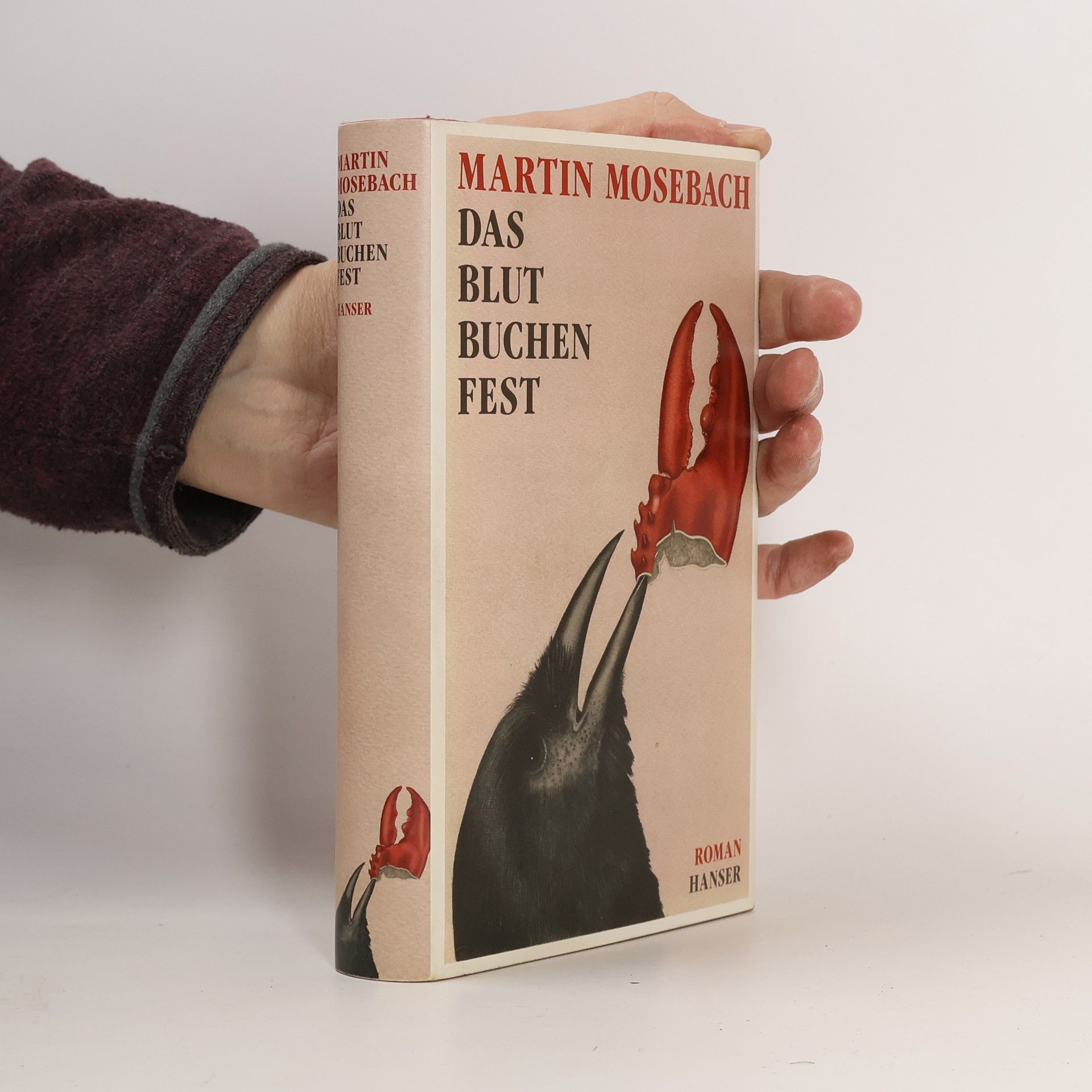 Martin Mosebach Das Blutbuchenfest
