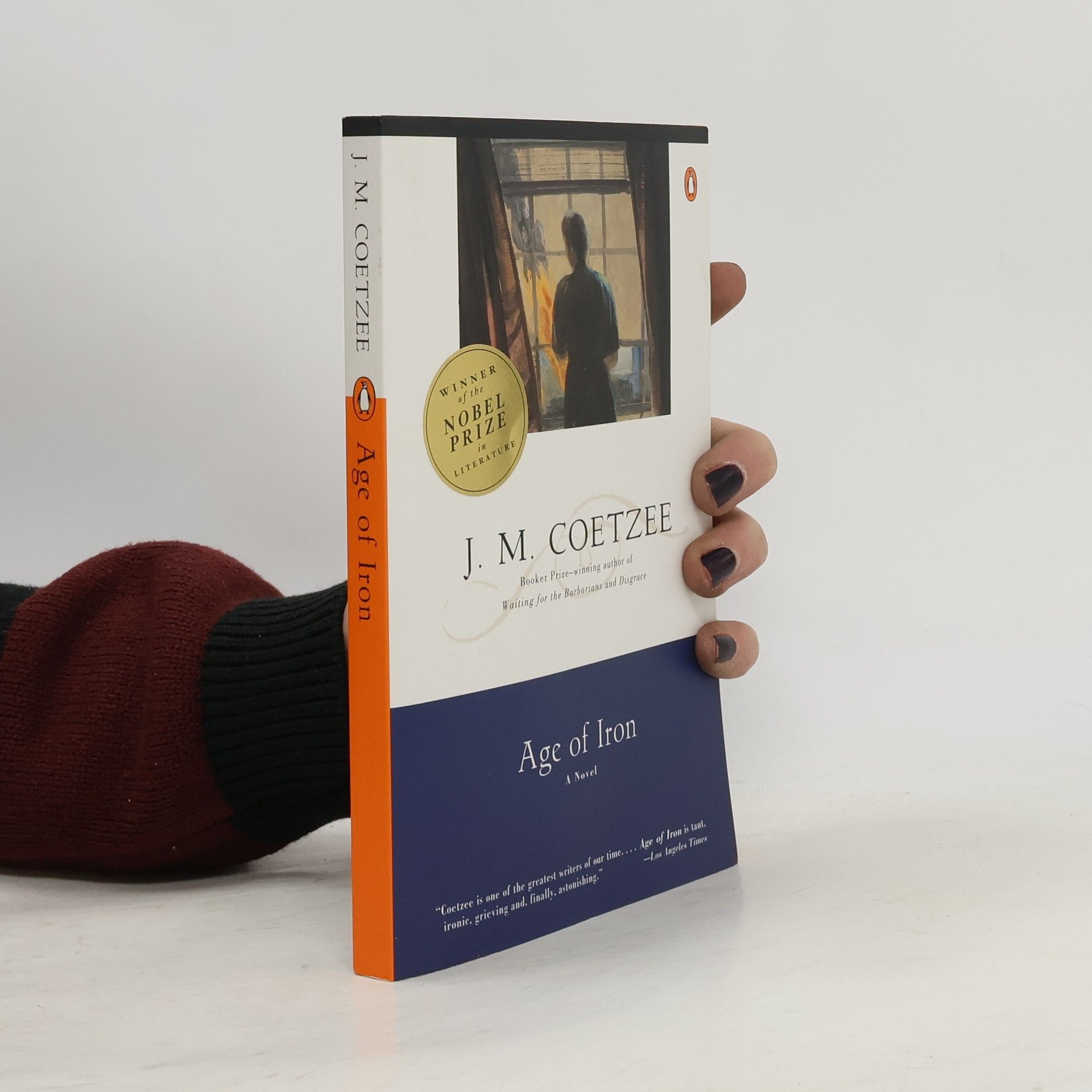 John Maxwell Coetzee Age of Iron