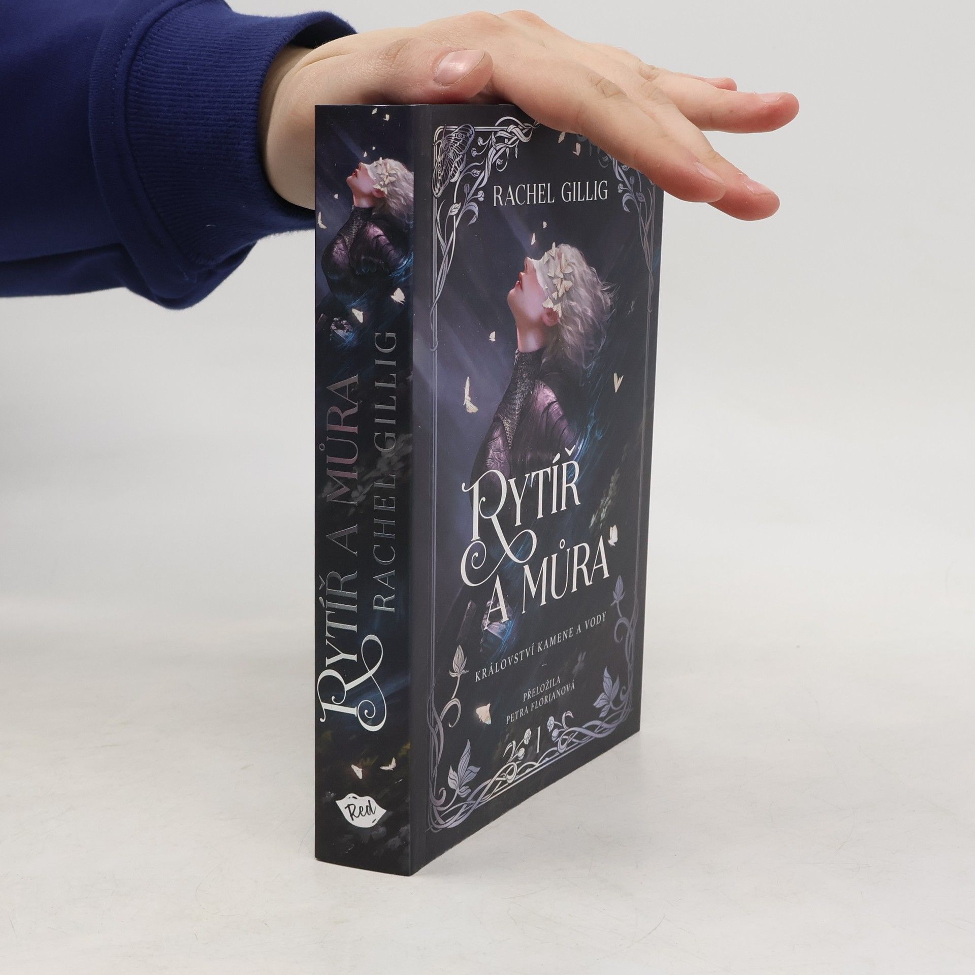 Království kamene a vody. Kniha I. Rytíř a můra