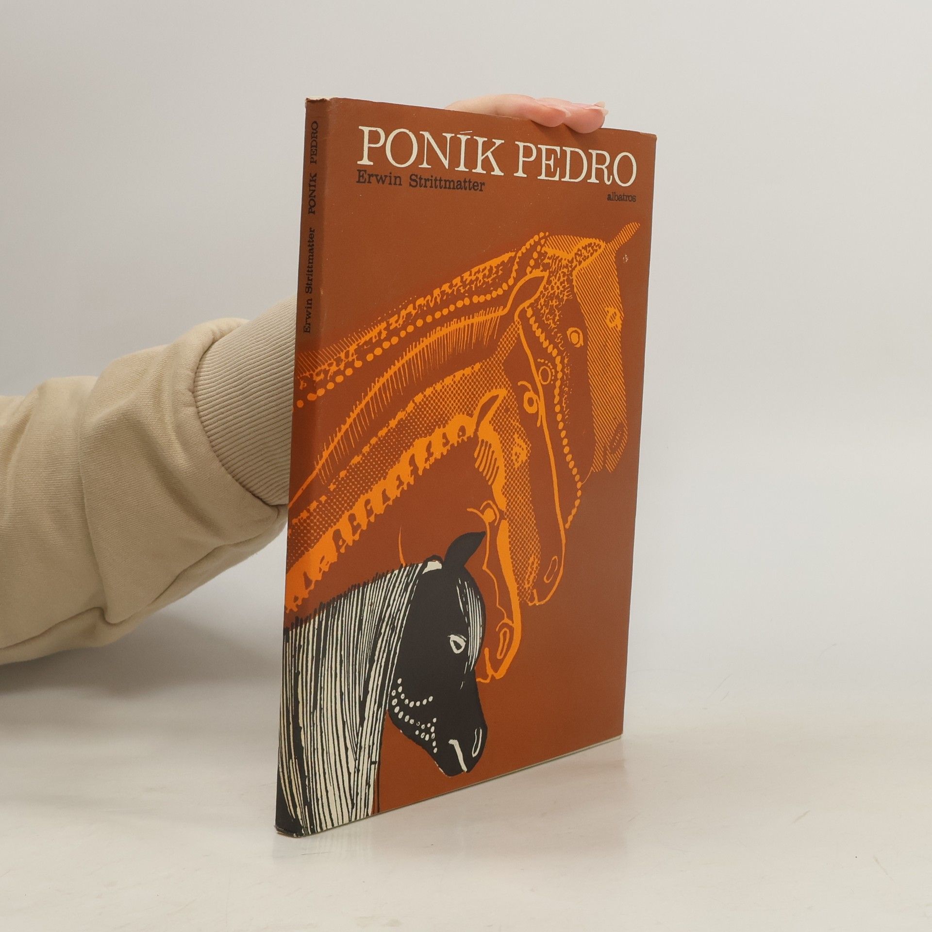 Erwin Strittmatter Poník Pedro