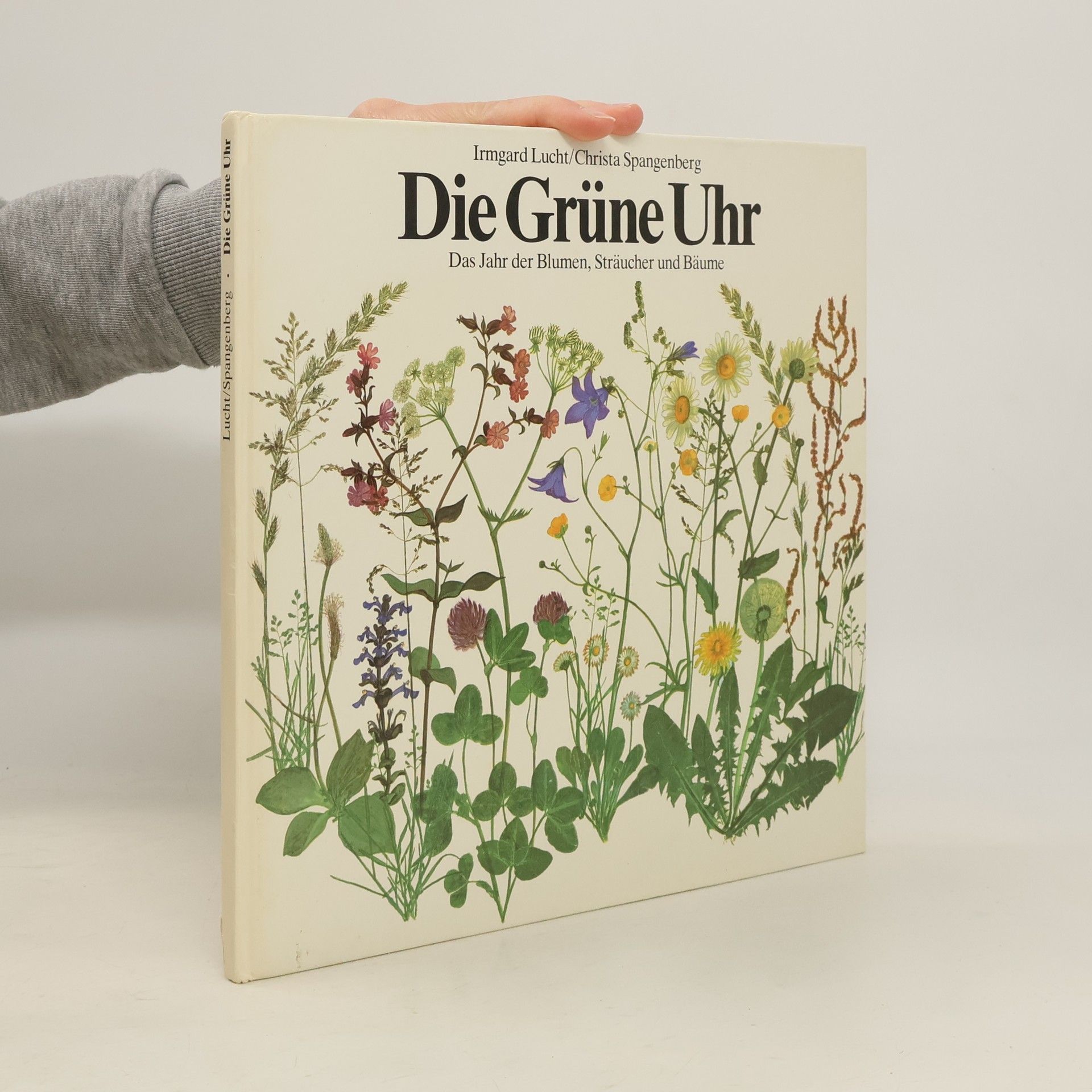 Irmgard Lucht Die Grüne Uhr