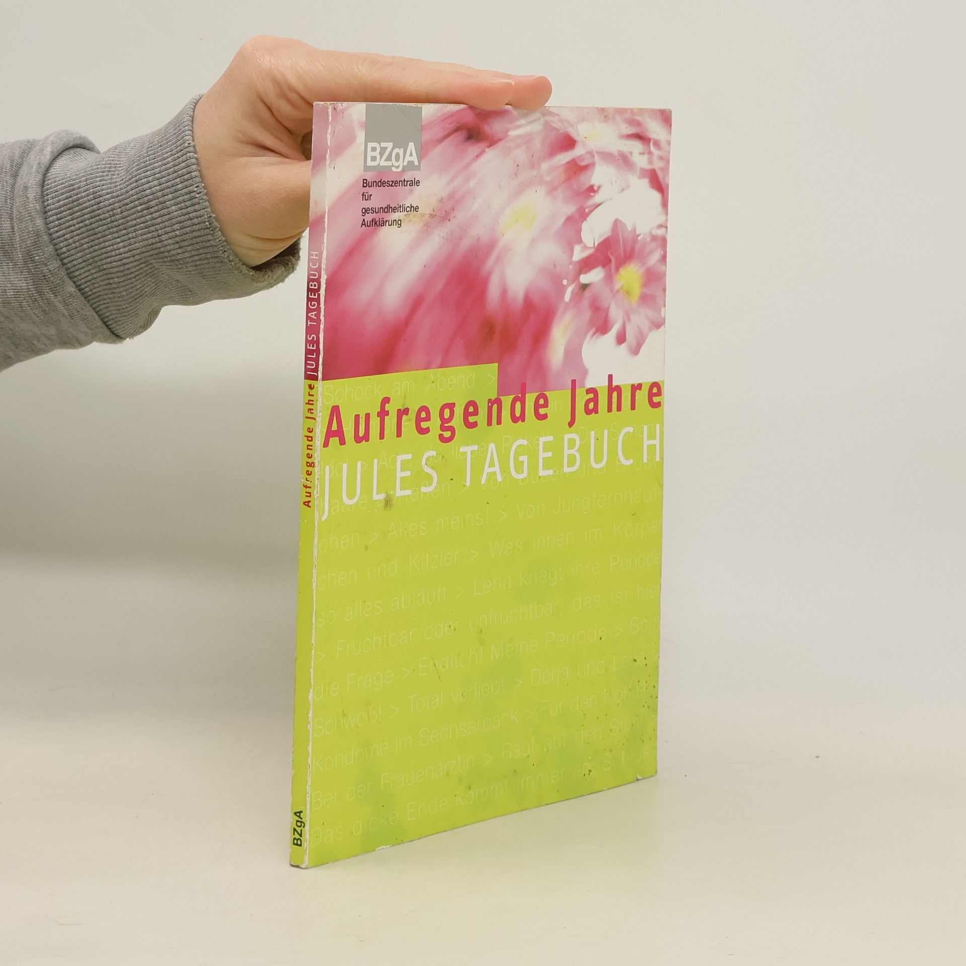 Collectif d'auteurs Aufregende Jahre. Jules Tagebuch