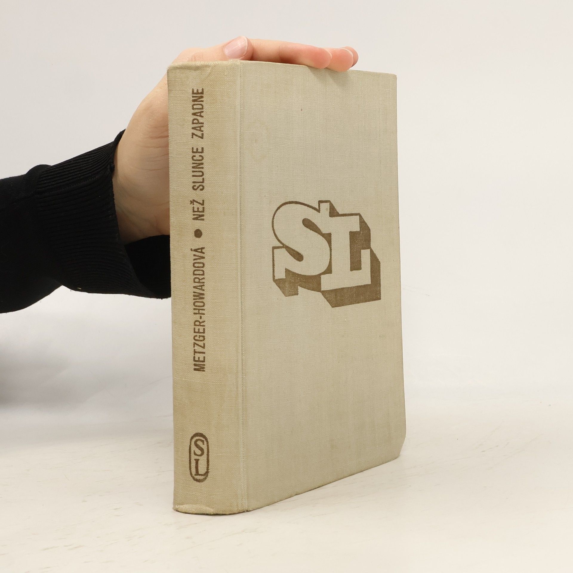 Elisabeth Metzger Howardová Než slunce zapadne