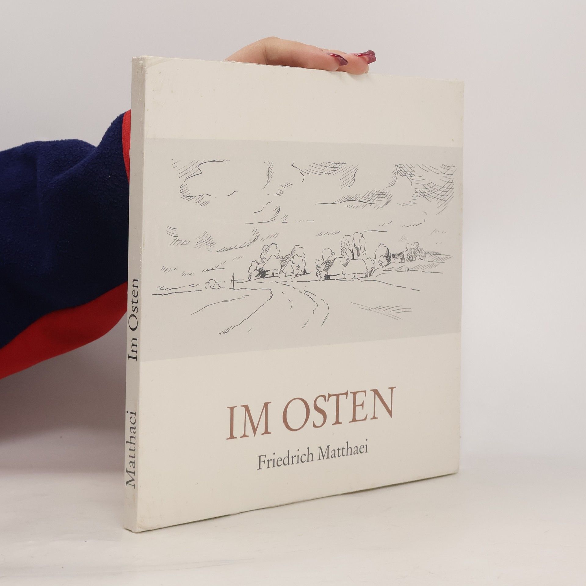 Friedrich Matthaei Im Osten