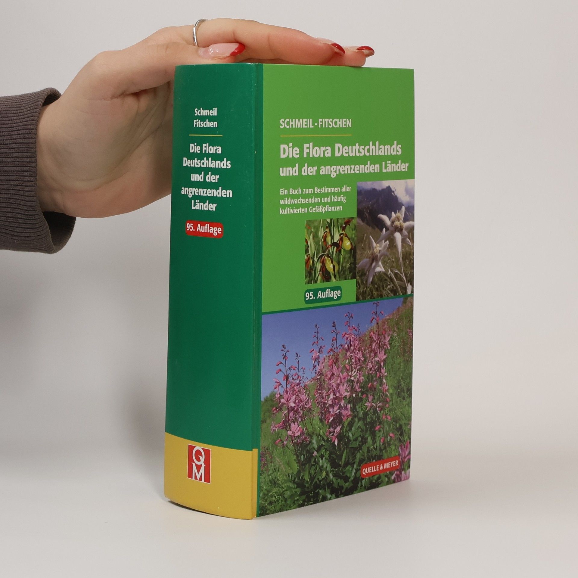 Otto Schmeil Die Flora Deutschlands und der angrenzenden Länder