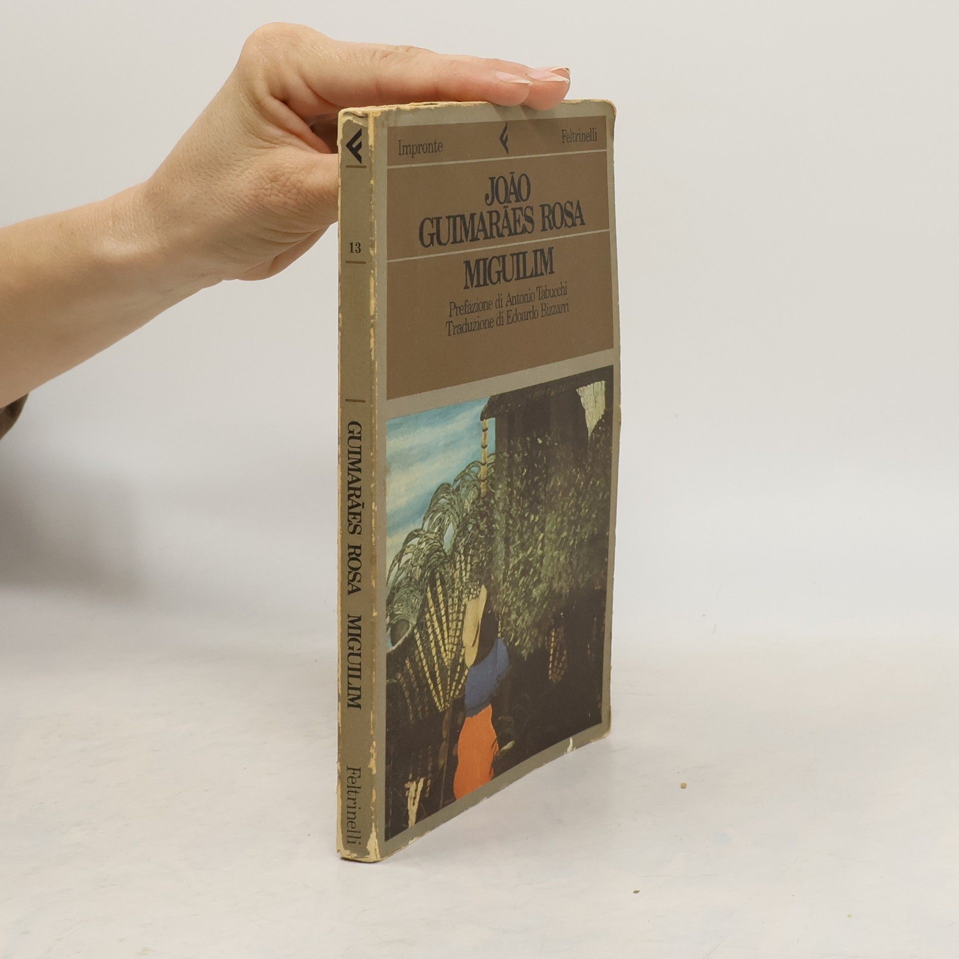 Guimarães Rosa Impronte - 13: Miguilim