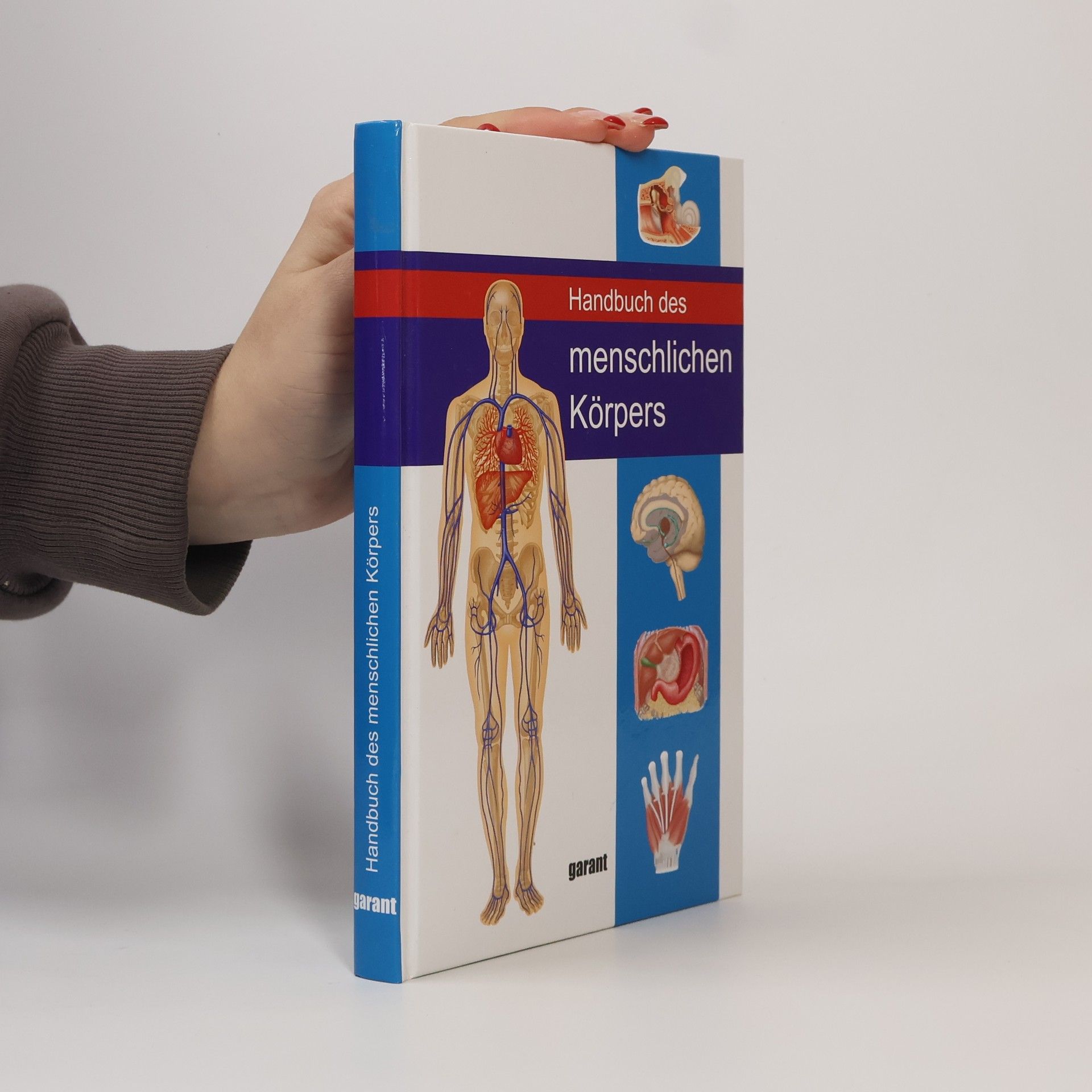 Peter Abrahams Handbuch des Menschlichen Körpers