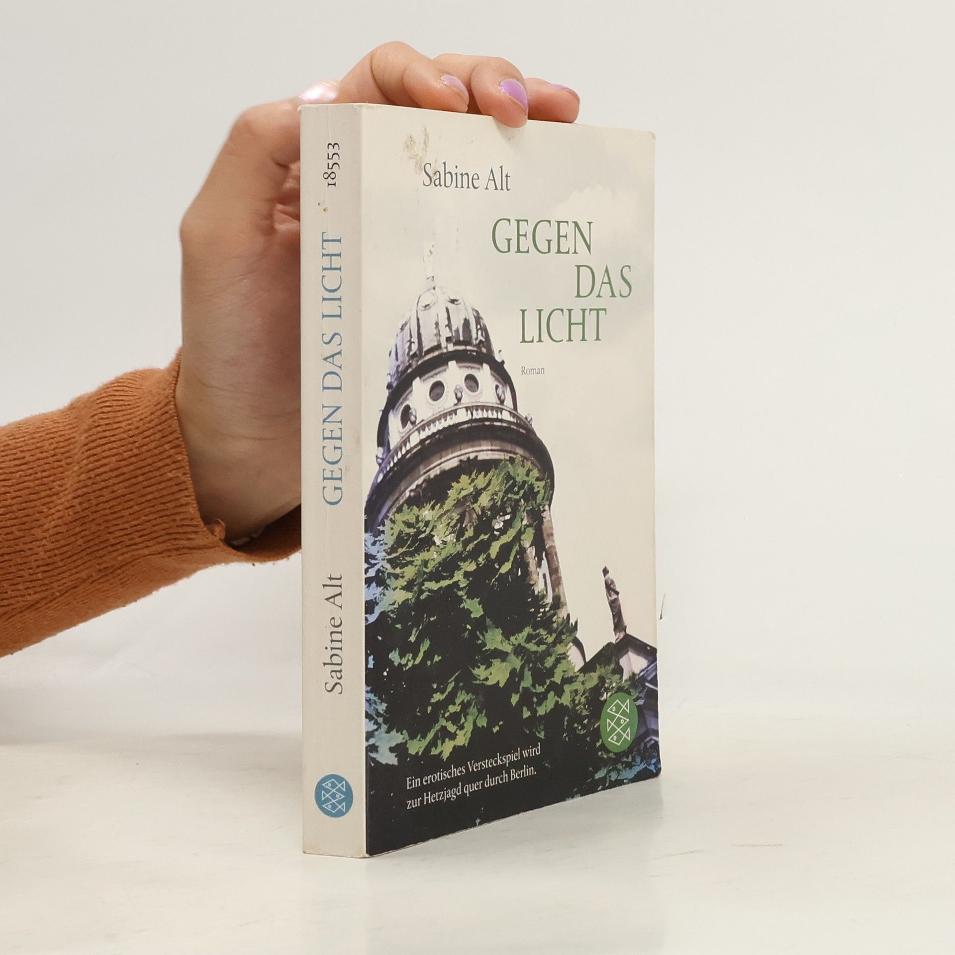 Sabine Alt Gegen das Licht. Roman
