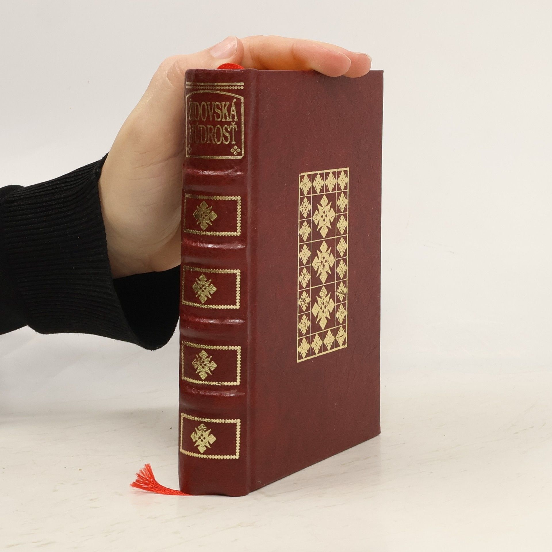 Hilda Holinová Židovská múdrosť