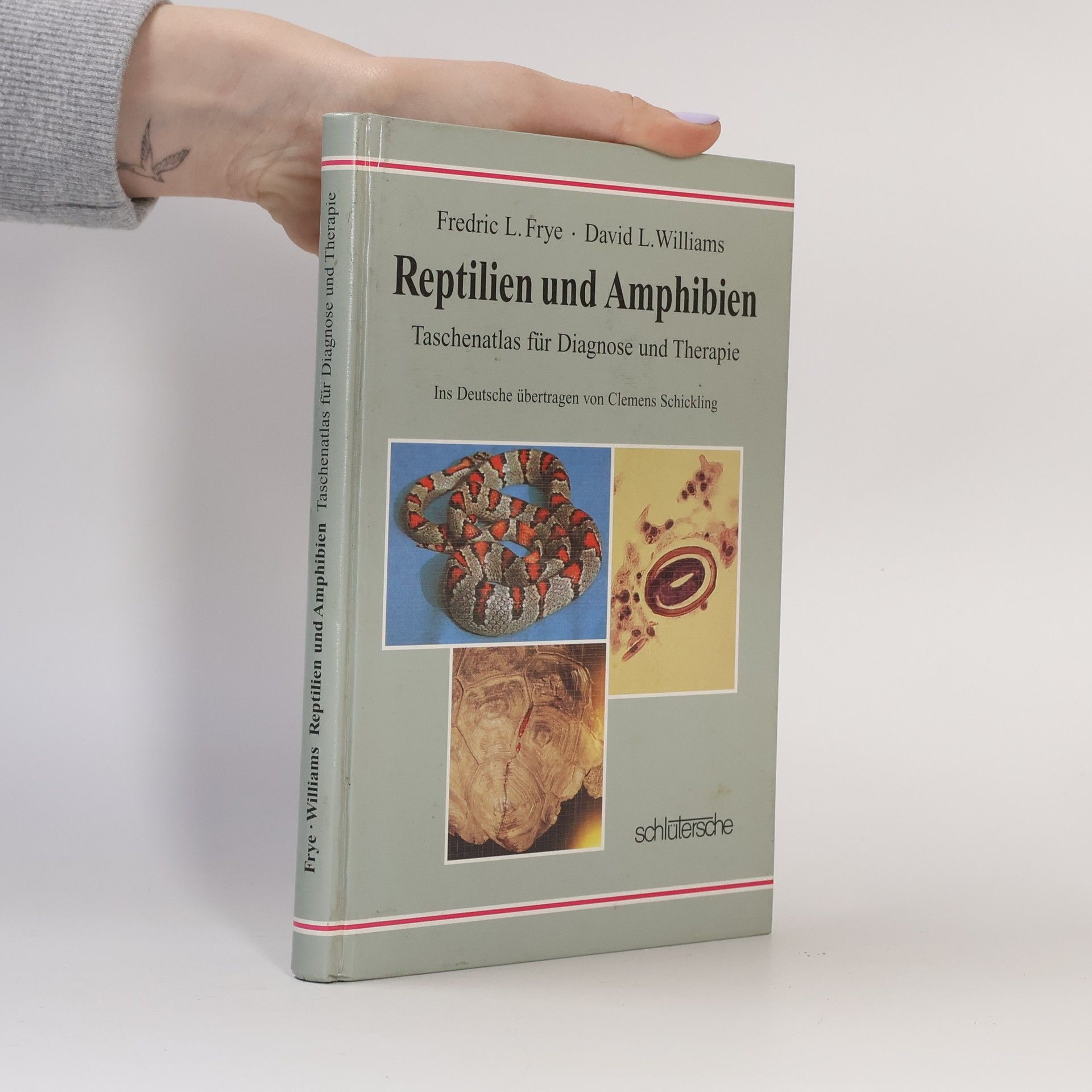 Fredric L. Frye Reptilien und Amphibien