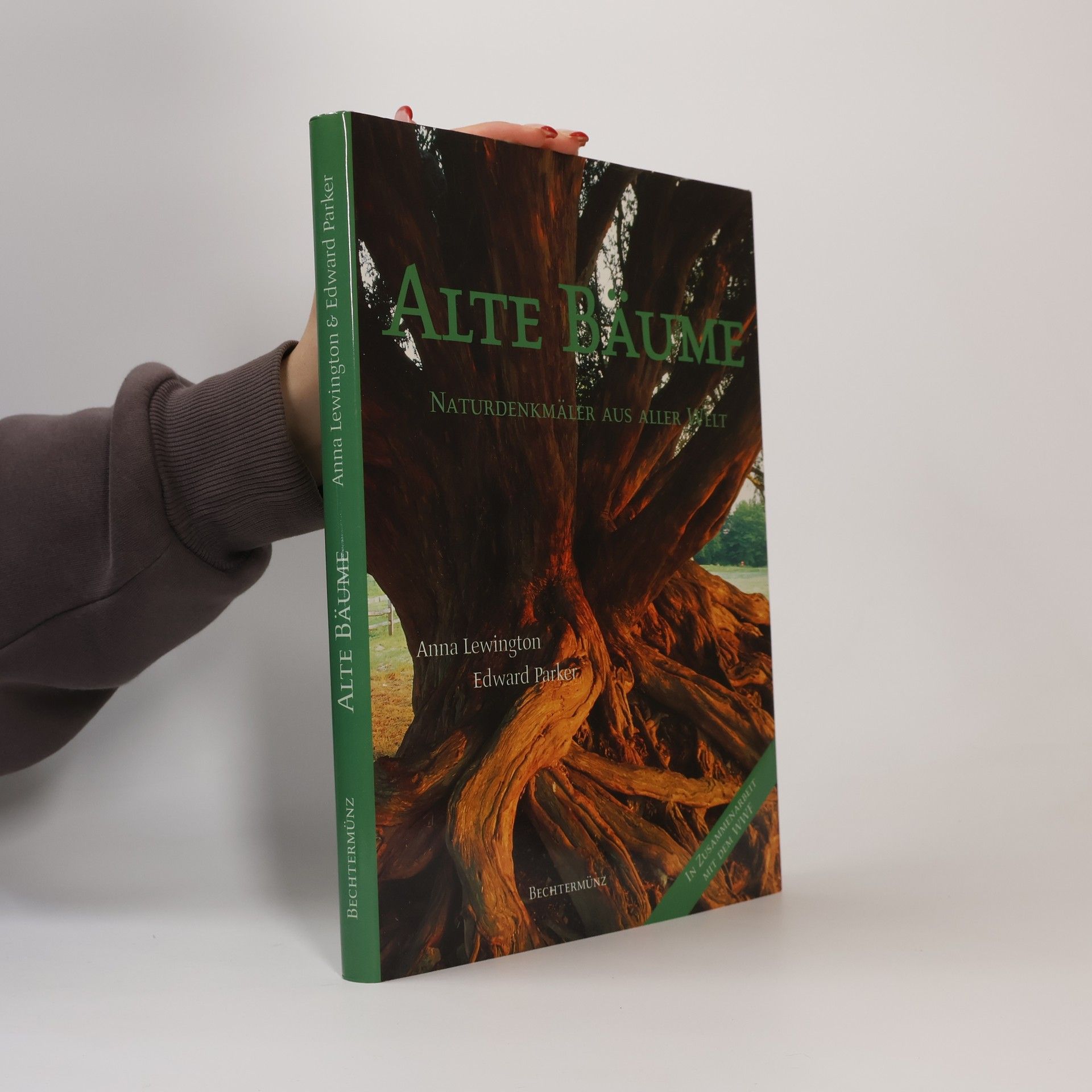 Anna Lewington Alte Bäume