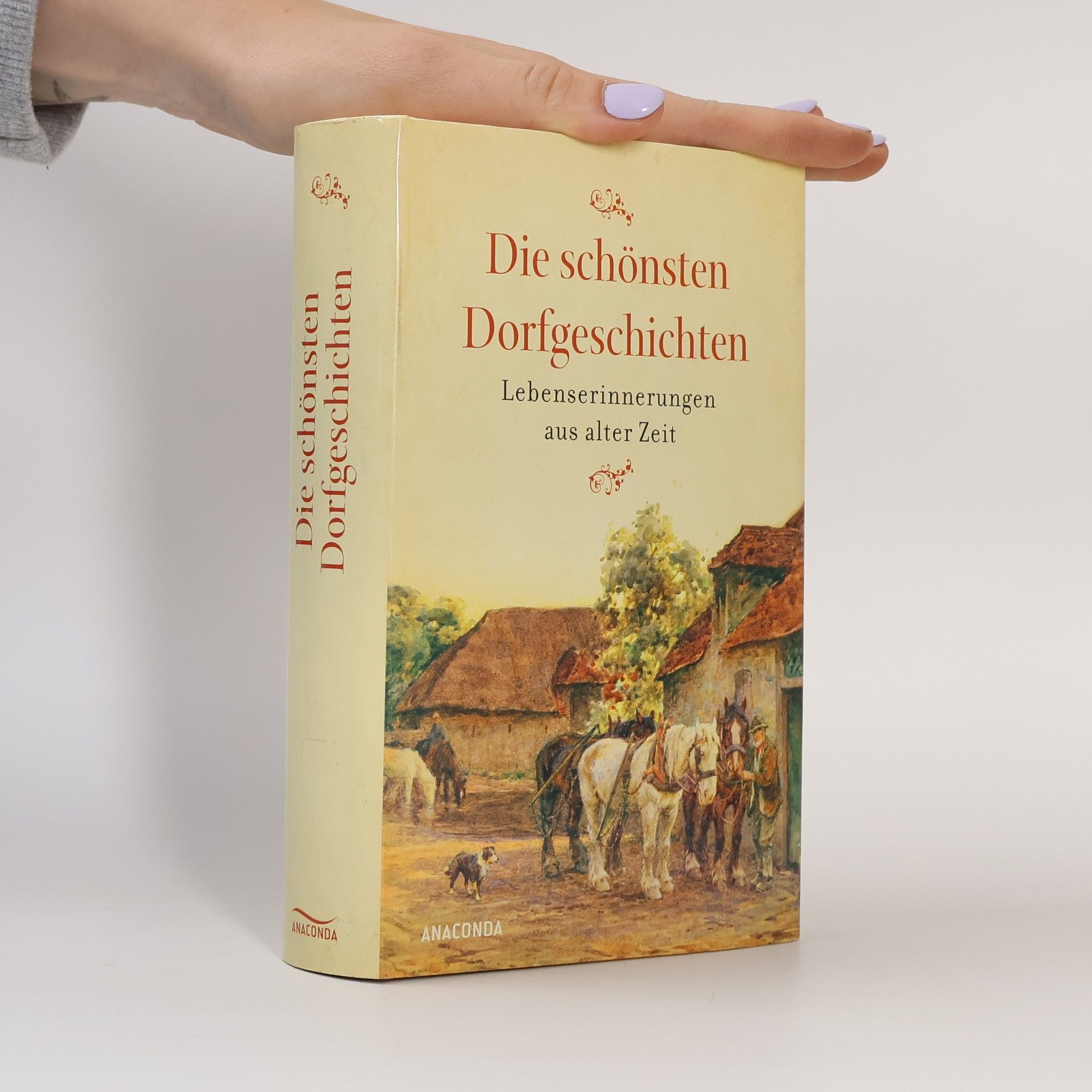 Jürgen Kleindienst Die schönsten Dorfgeschichten