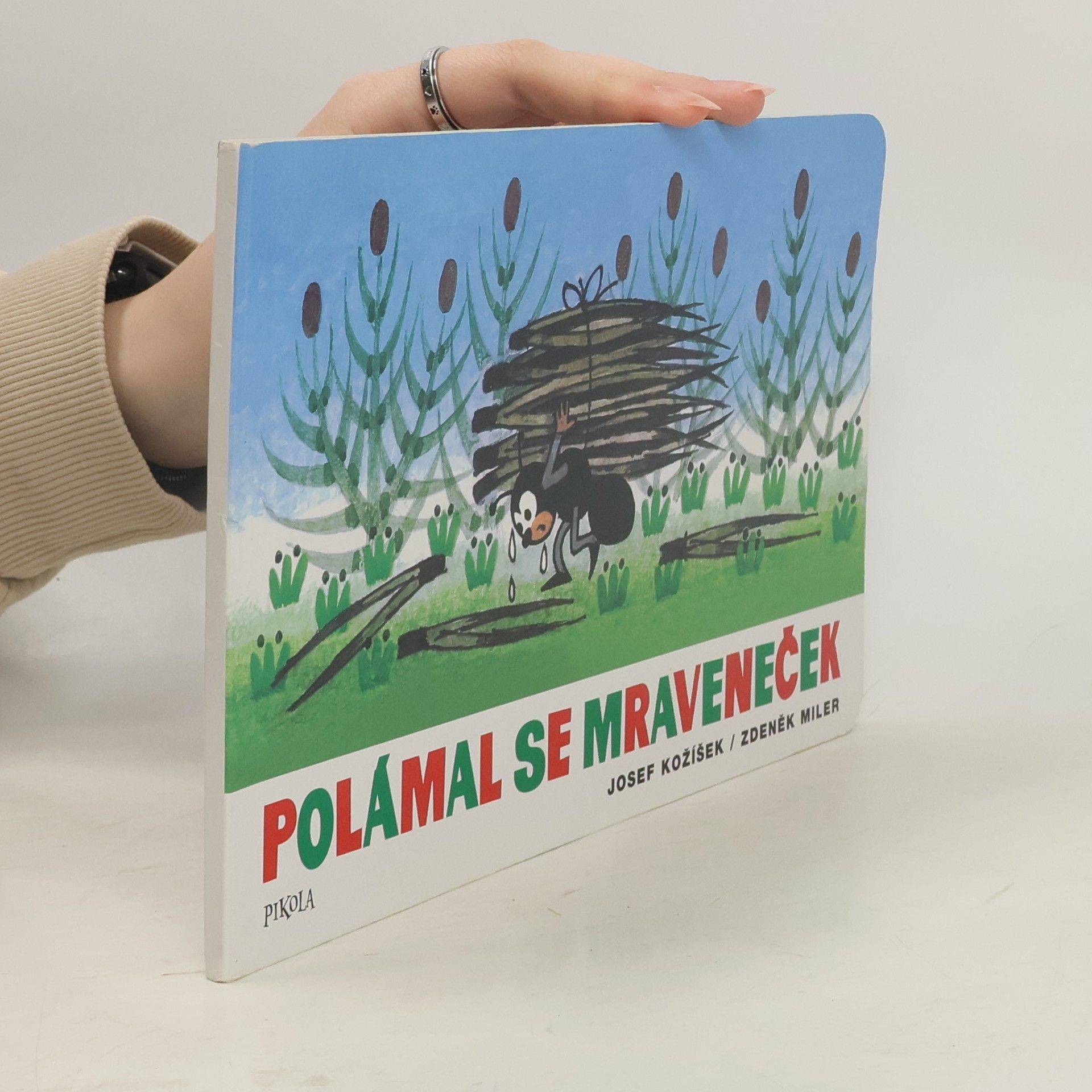 Polámal se mraveneček