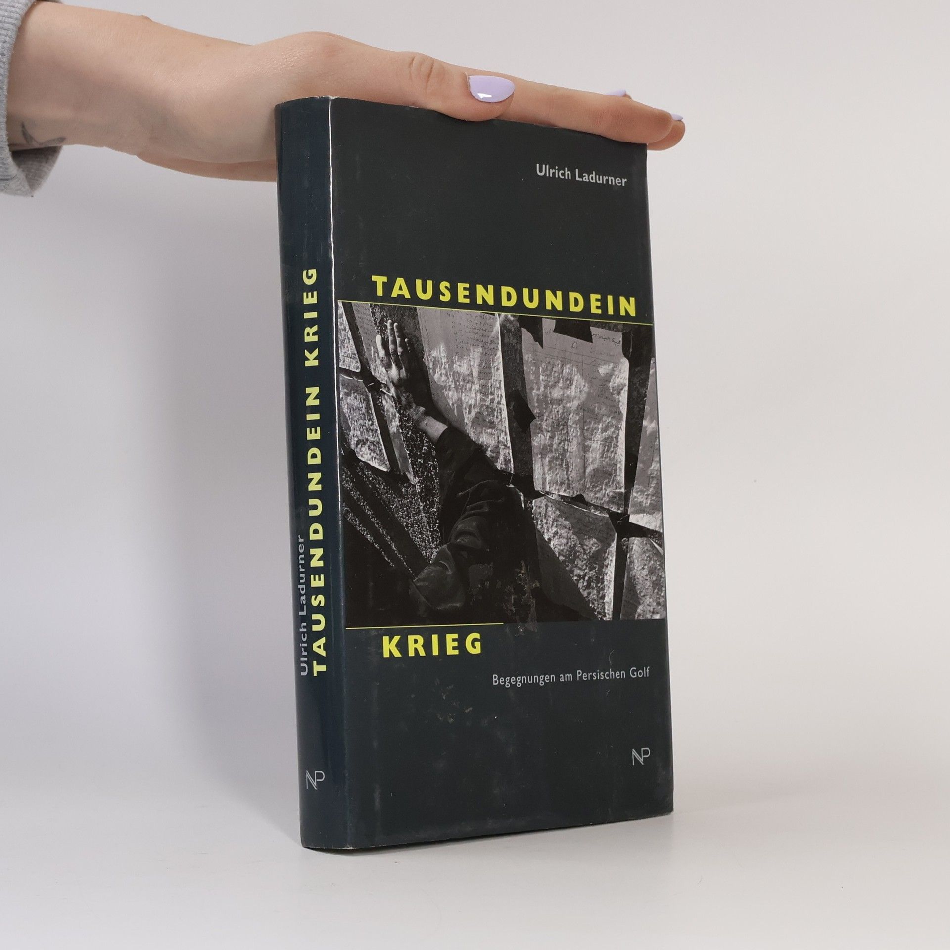 Ulrich Ladurner Tausendundein Krieg
