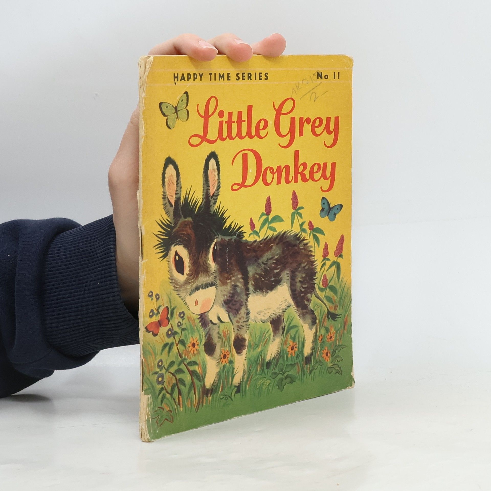 Nicole Snitselaar Little Grey Donkey