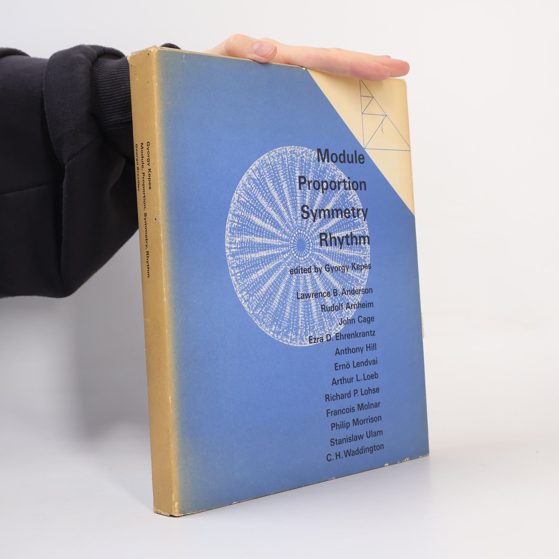 György Kepes Module, Proportion, Symmetry, Rhythm