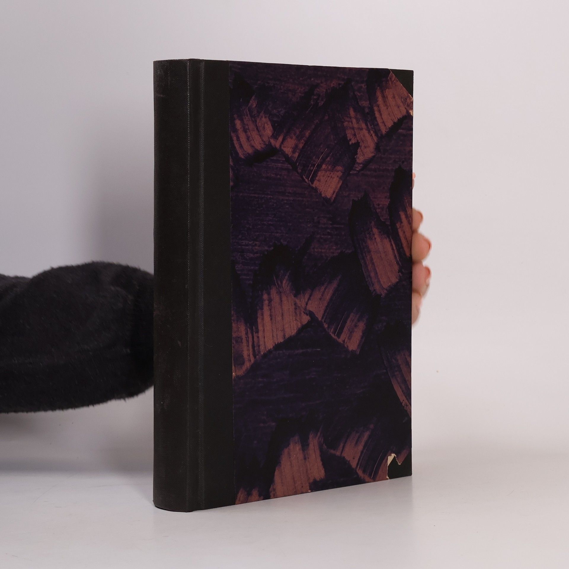 Wilhelm Maximilian Wundt Grundriss der Psychologie