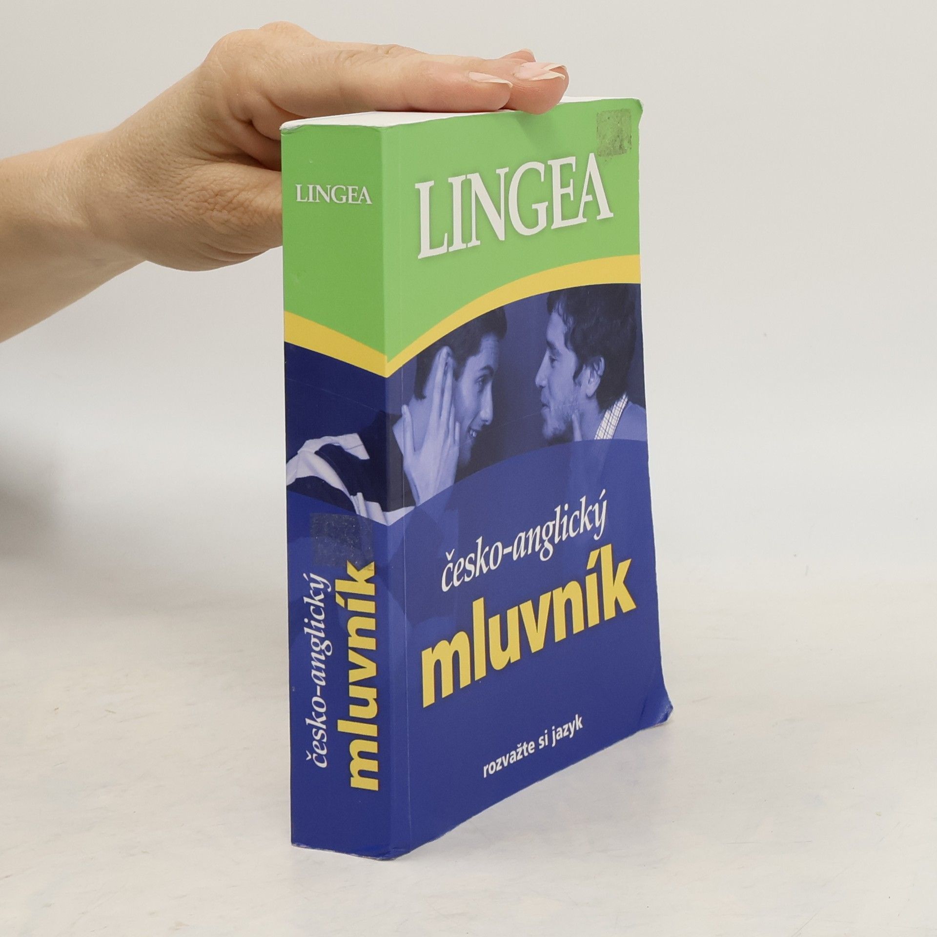 Kolektiv autorů Česko-anglický mluvník