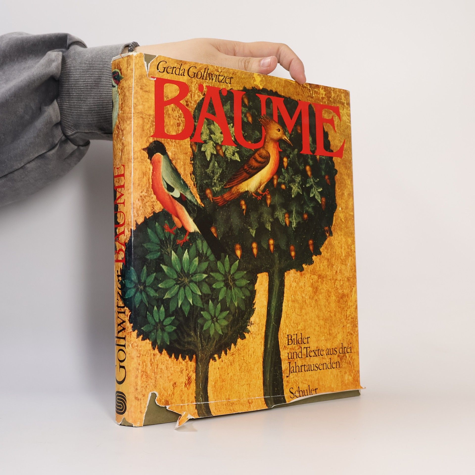 Gerda Gollwitzer Bäume
