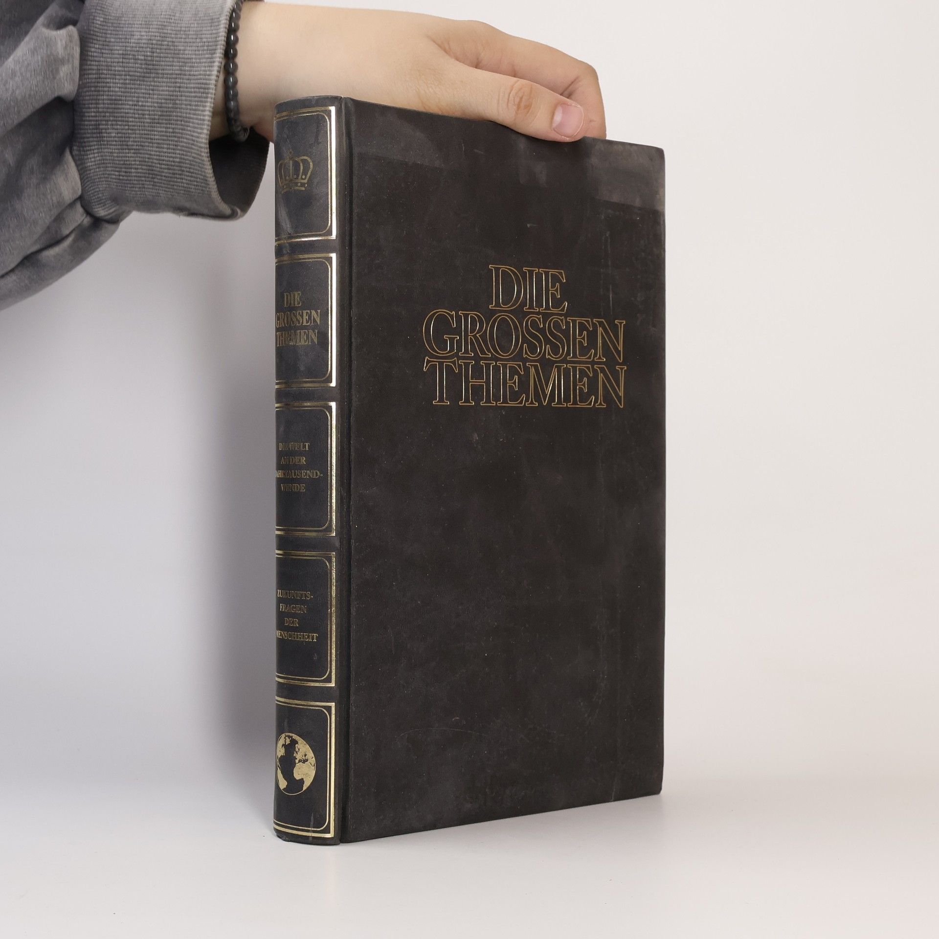 Kolektiv autorů Die Grossen Themen