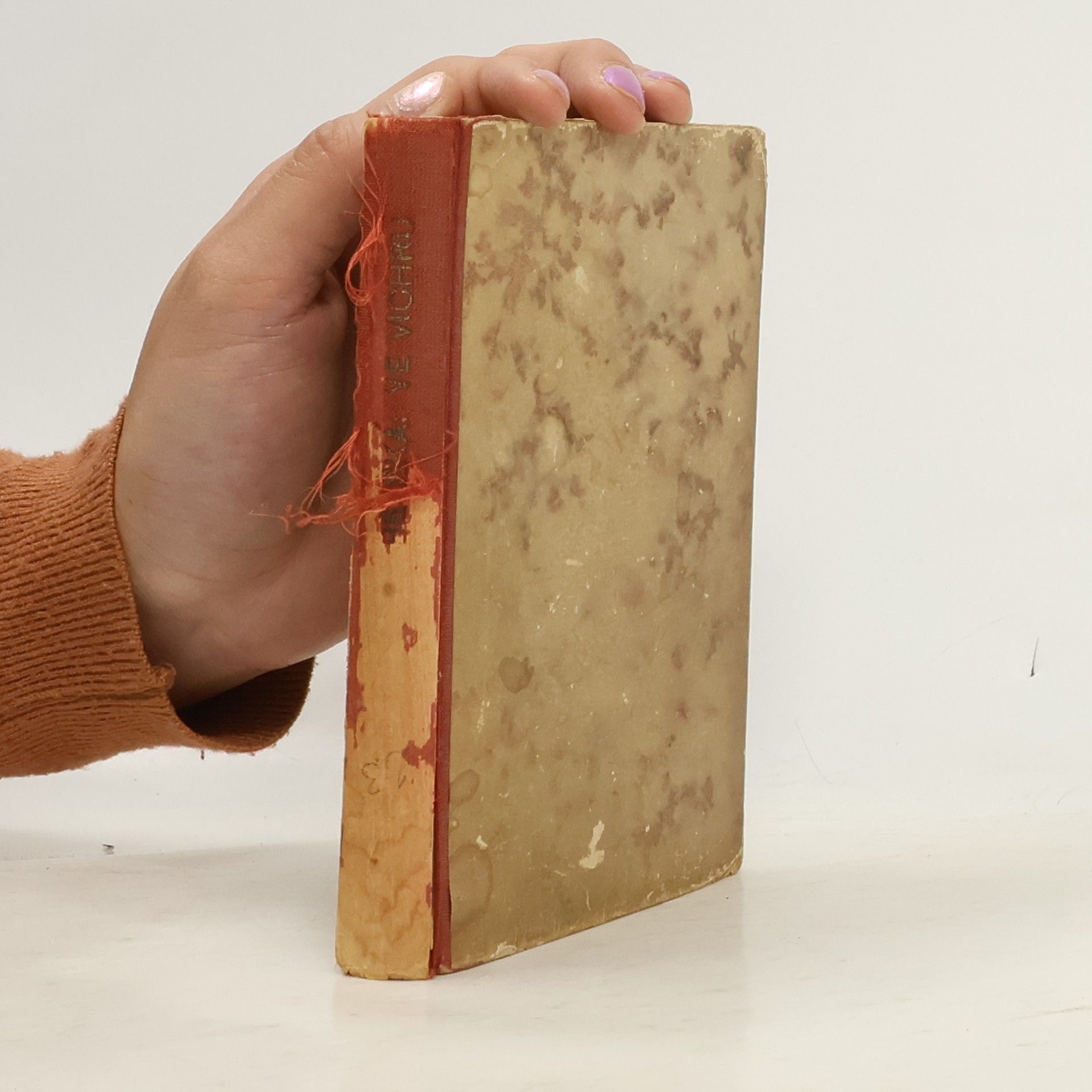 A. M. Bělská Ve vichru