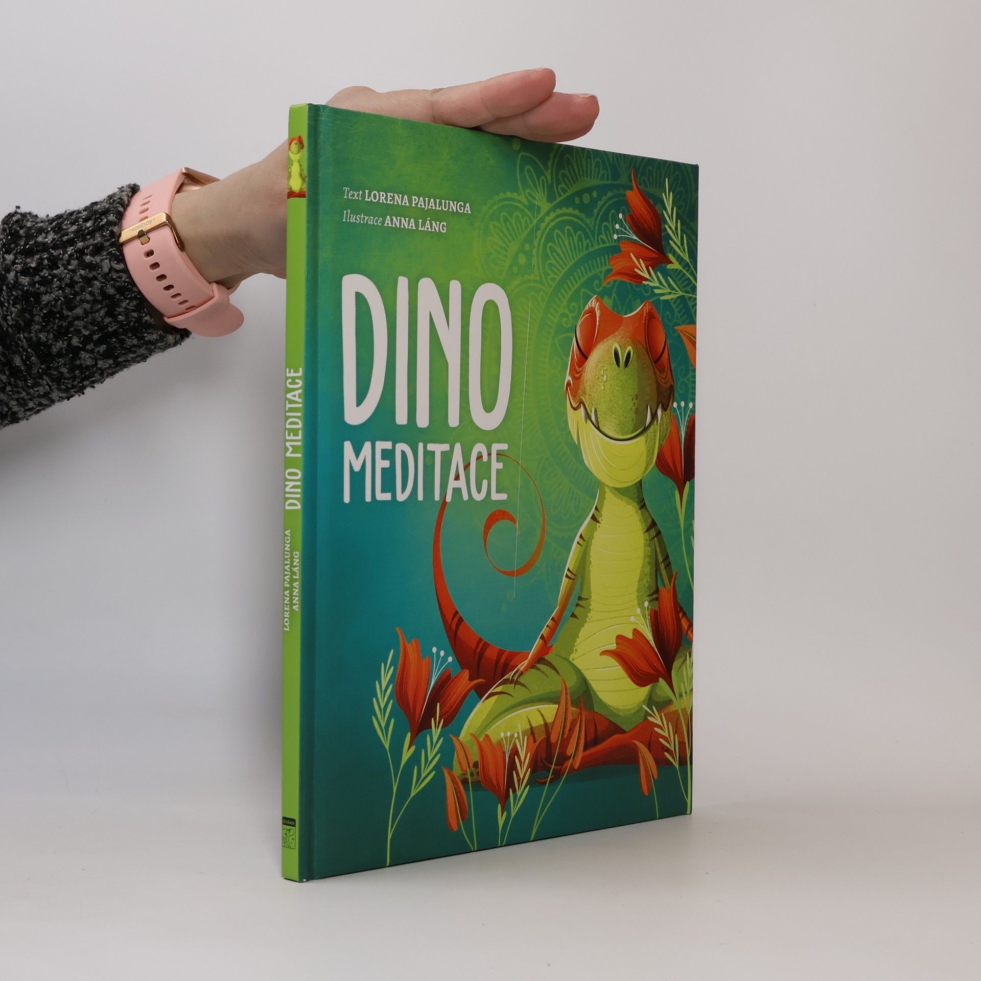 Dino meditace