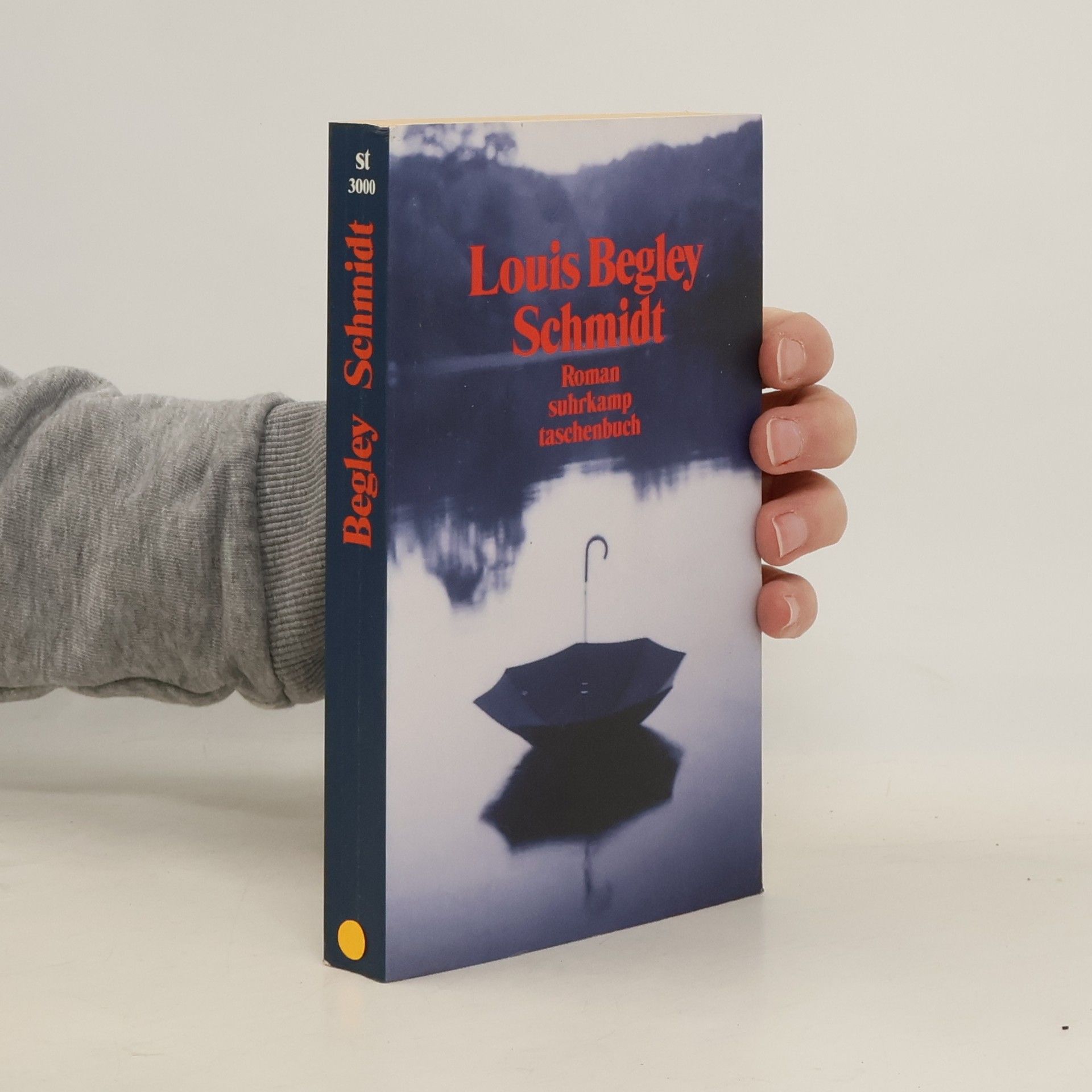 Louis Begley Schmidt