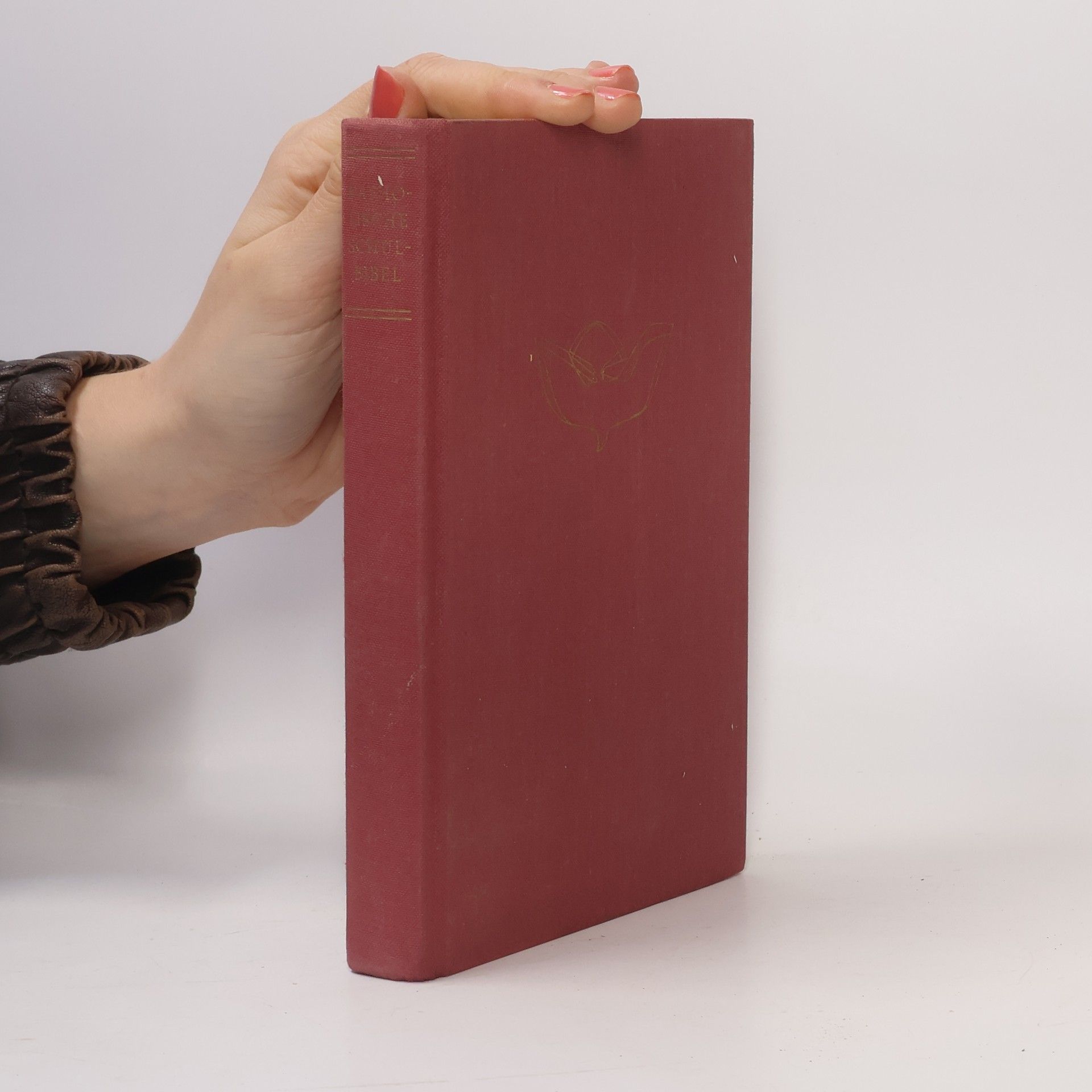 Autorenkollektiv Katolische Schulbibel