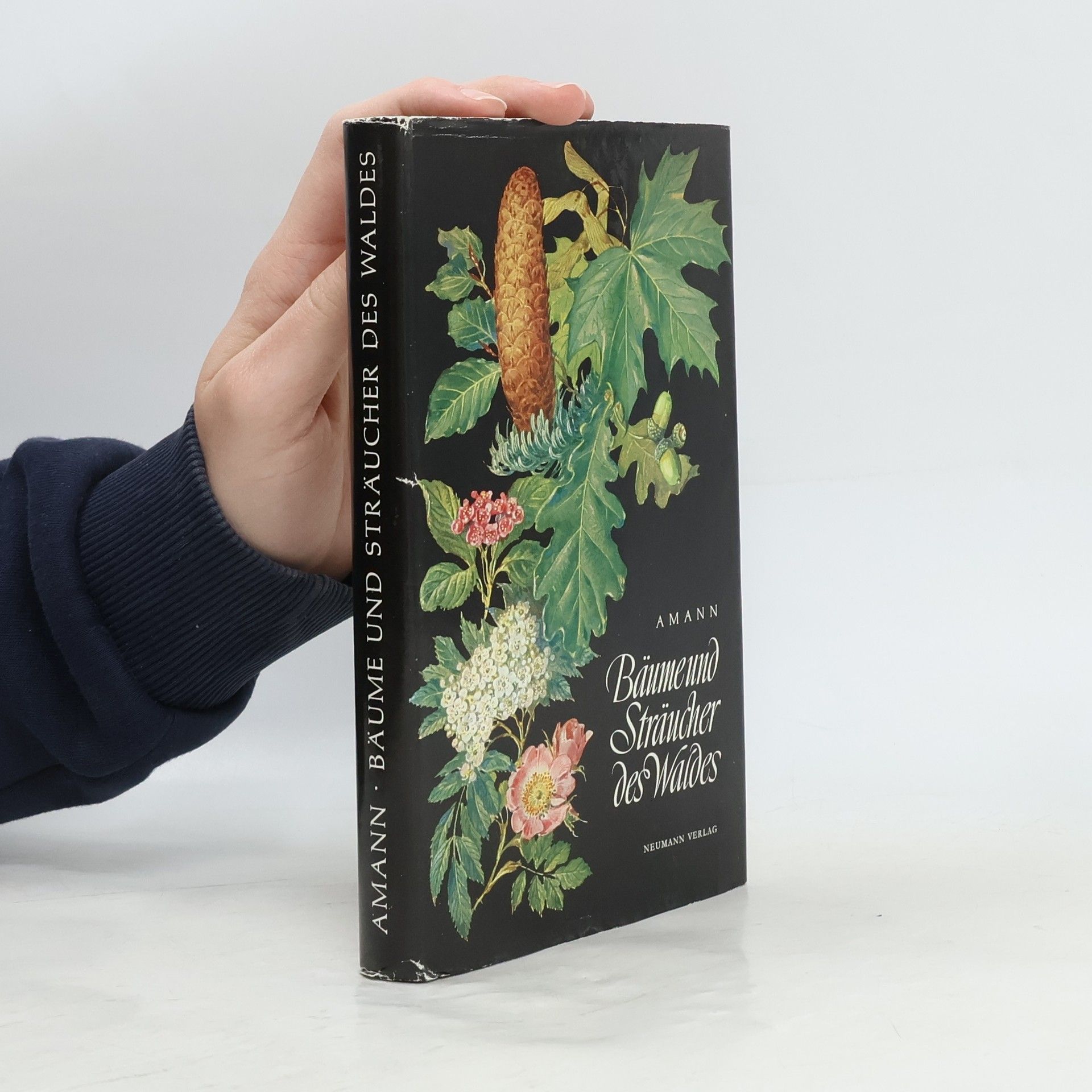 Gottfried Amann Bäume und Sträucher des Waldes